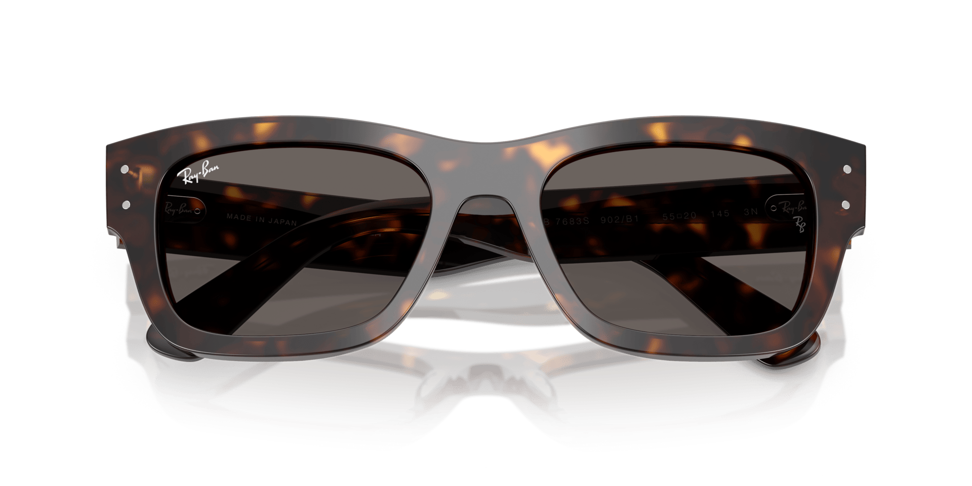 0RB7683S Acetate Unisex Sunglasses