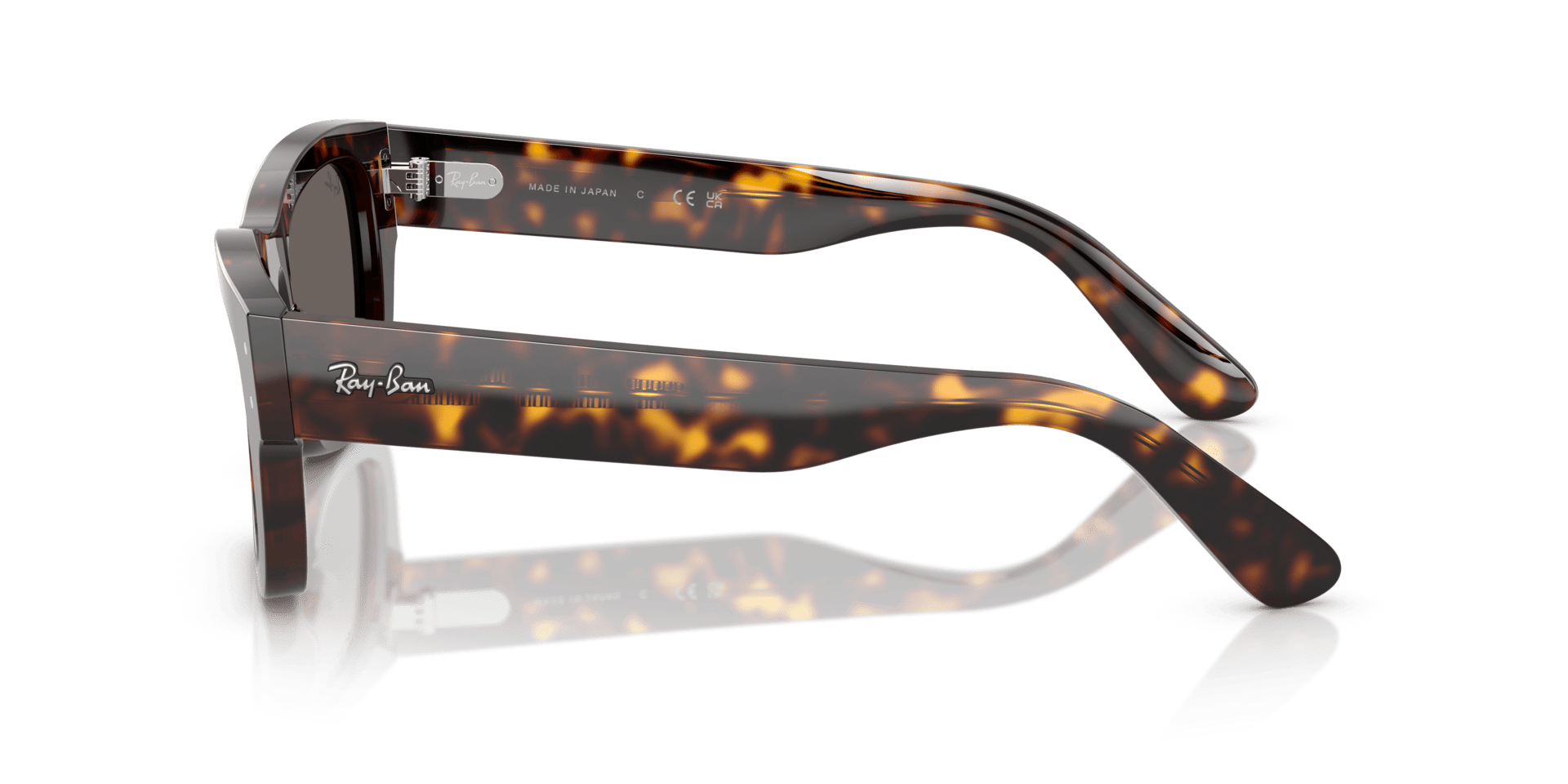 0RB7683S Acetate Unisex Sunglasses