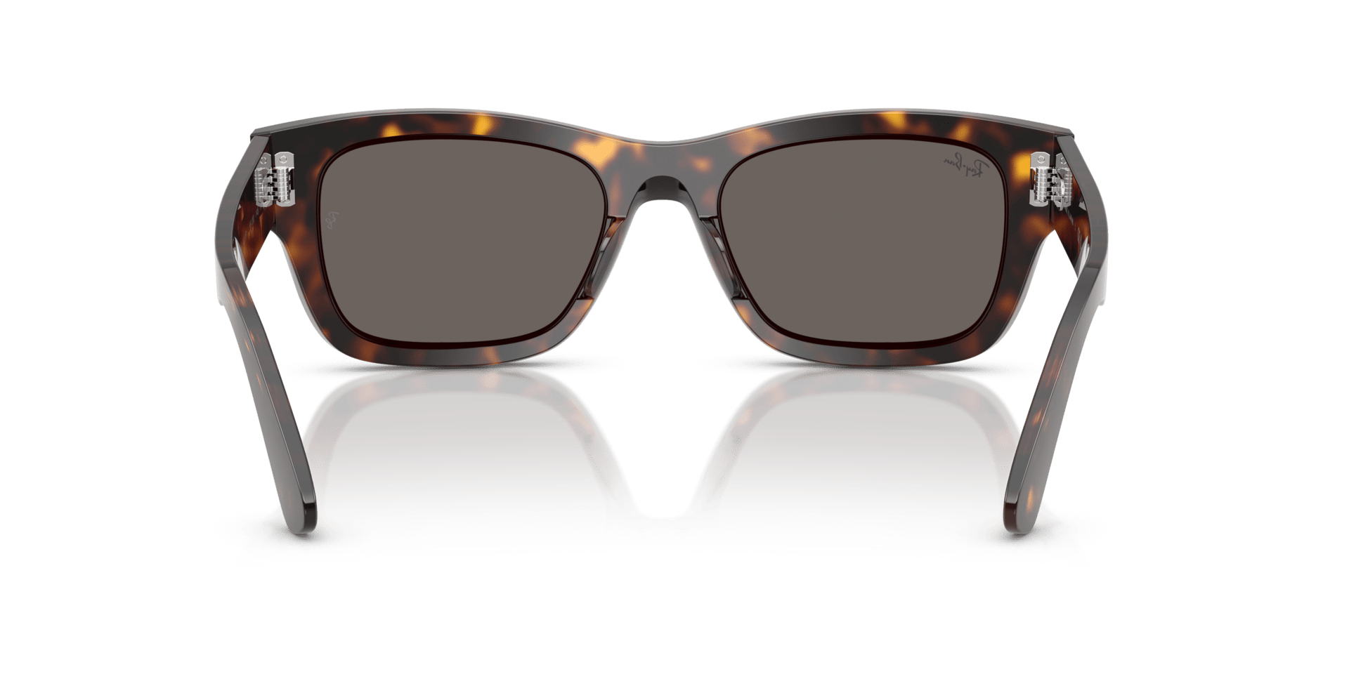 0RB7683S Acetate Unisex Sunglasses