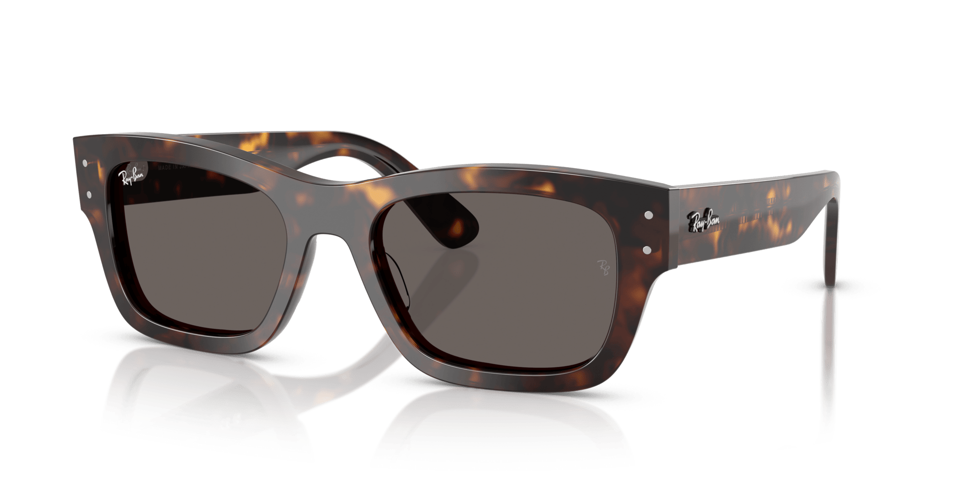 0RB7683S Acetate Unisex Sunglasses