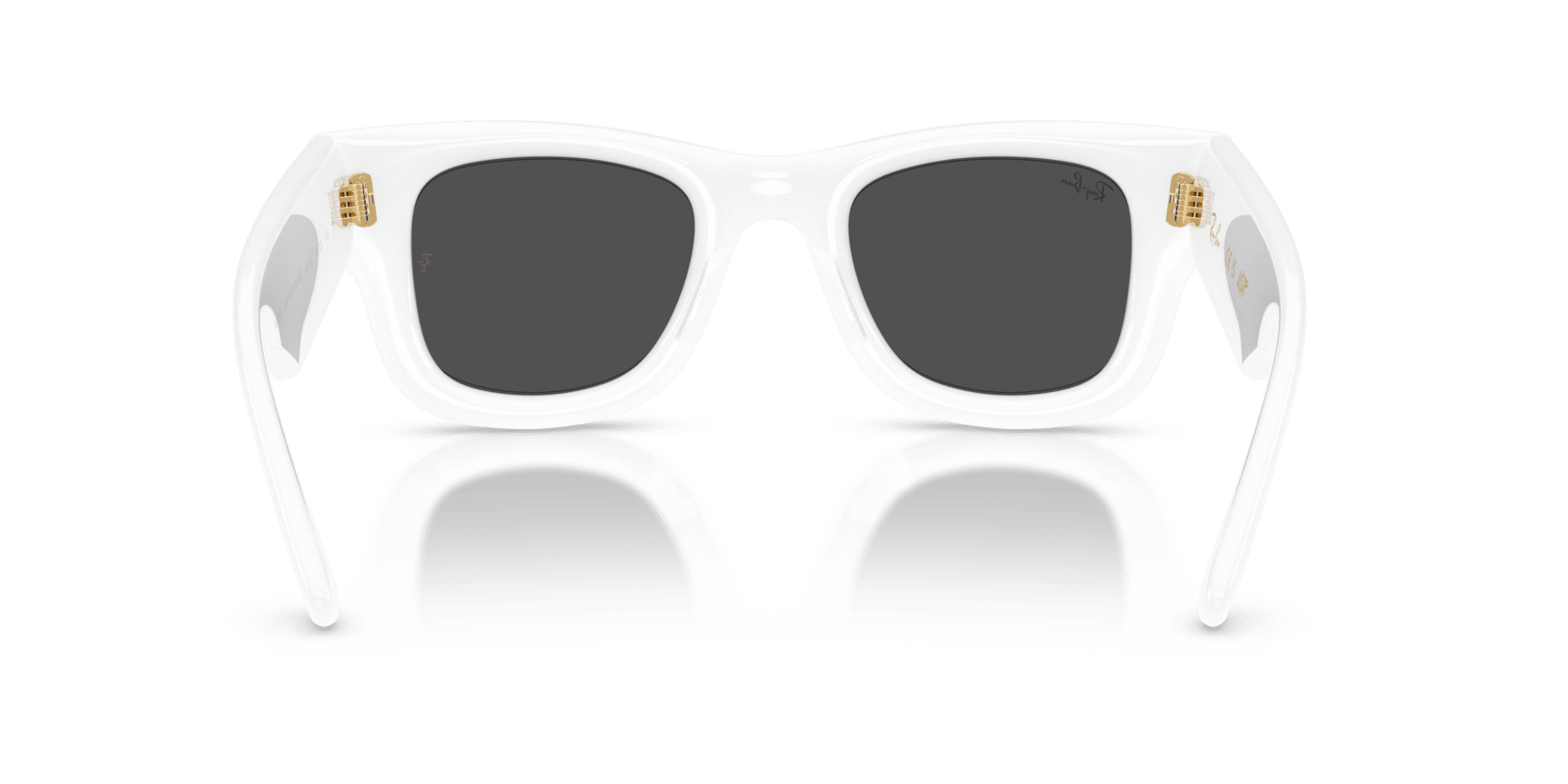0RB4940 Injected Unisex Sunglasses