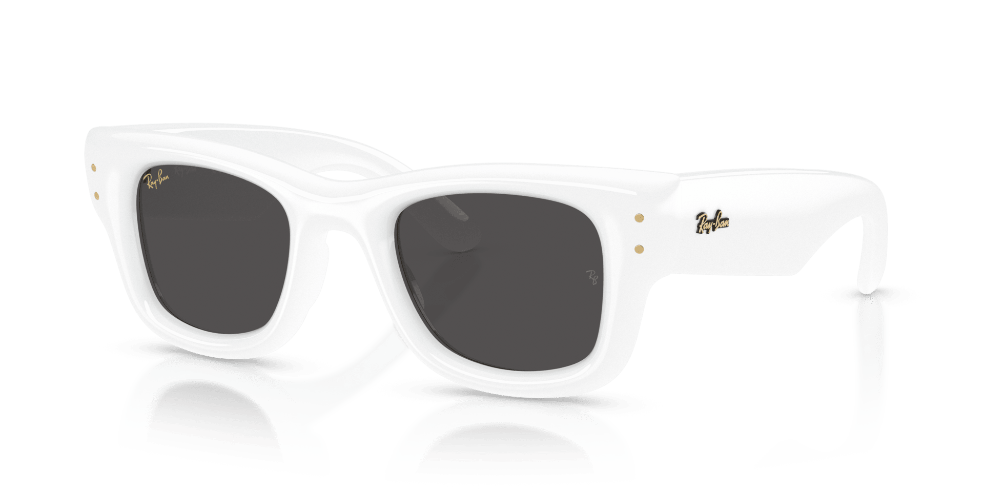 0RB4940 Injected Unisex Sunglasses