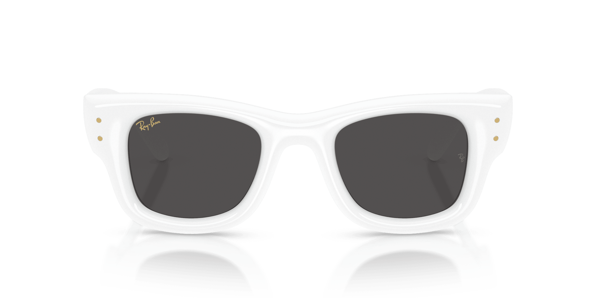 0RB4940 Injected Unisex Sunglasses