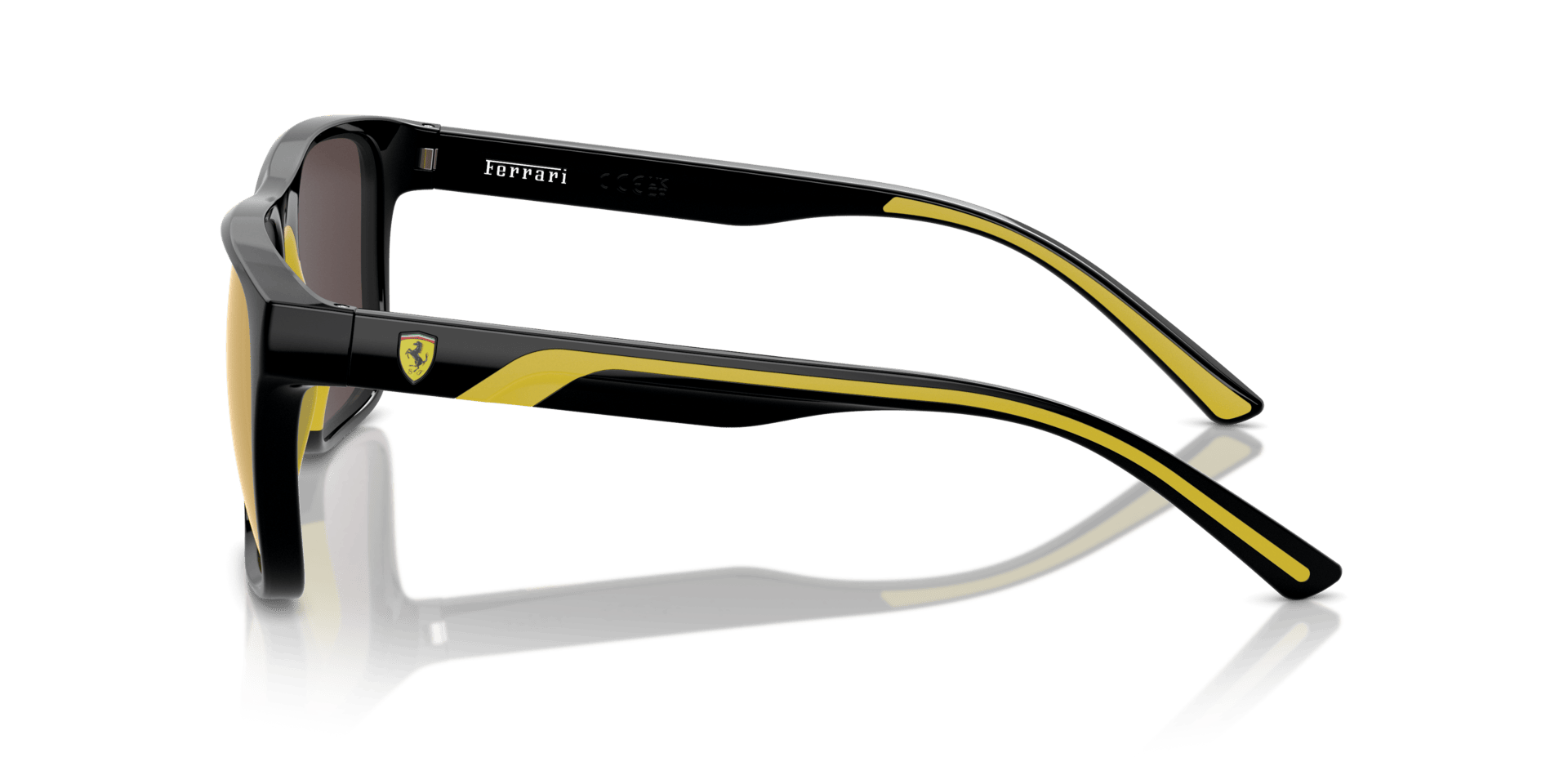 0FZ6002U Injected Men Sunglasses