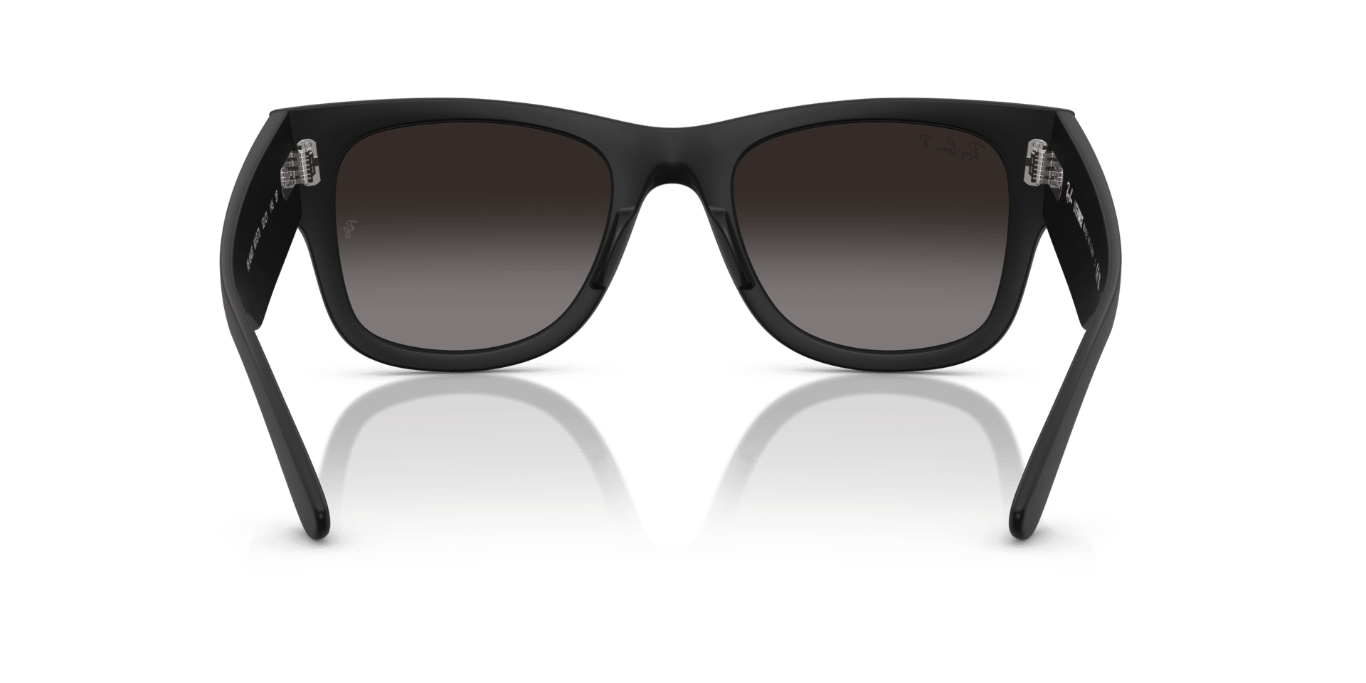 0RB4840S Peek Unisex Sunglasses