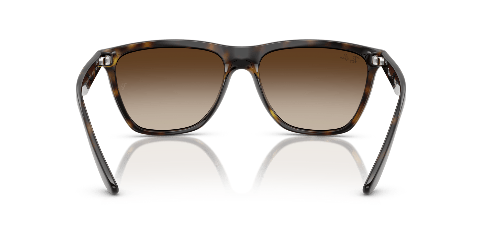 0RB4442I Injected Unisex Sunglasses