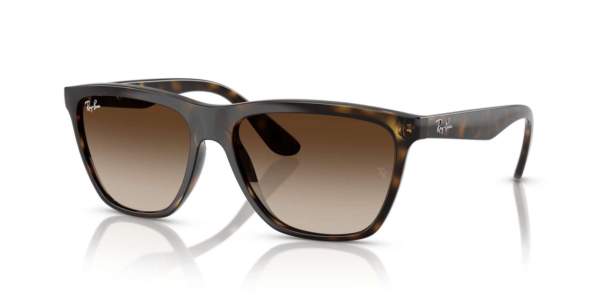 0RB4442I Injected Unisex Sunglasses