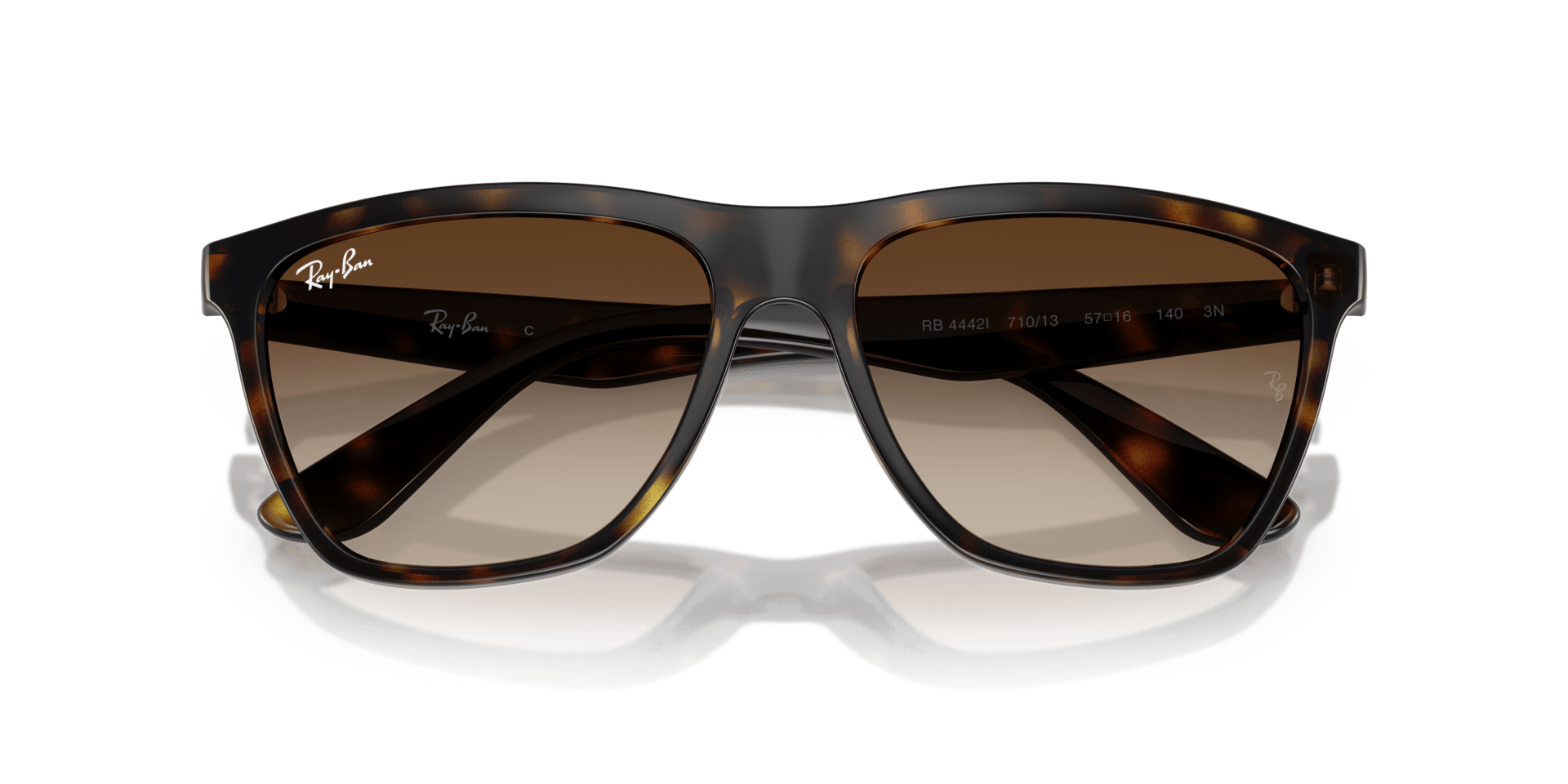0RB4442I Injected Unisex Sunglasses