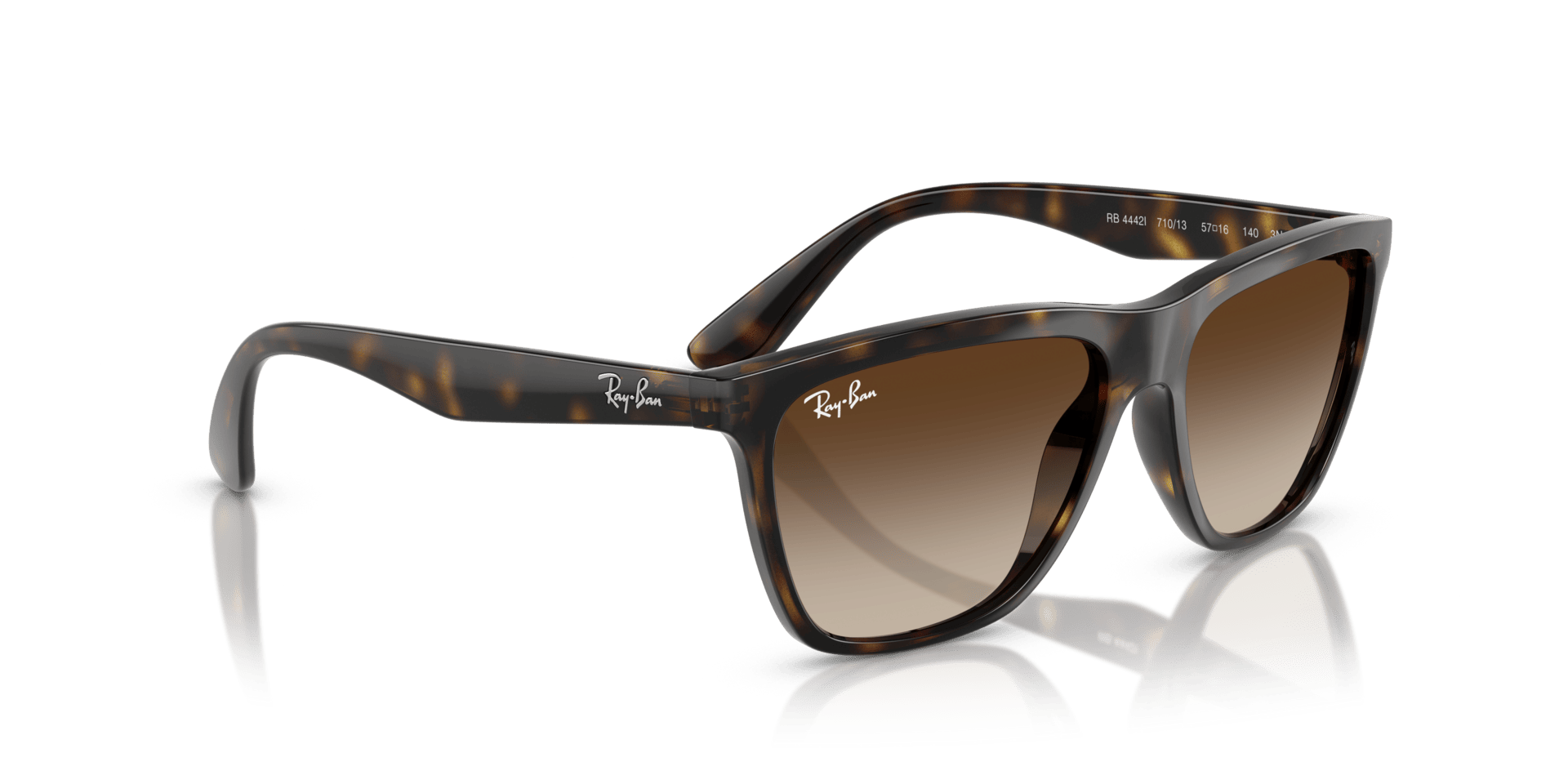 0RB4442I Injected Unisex Sunglasses