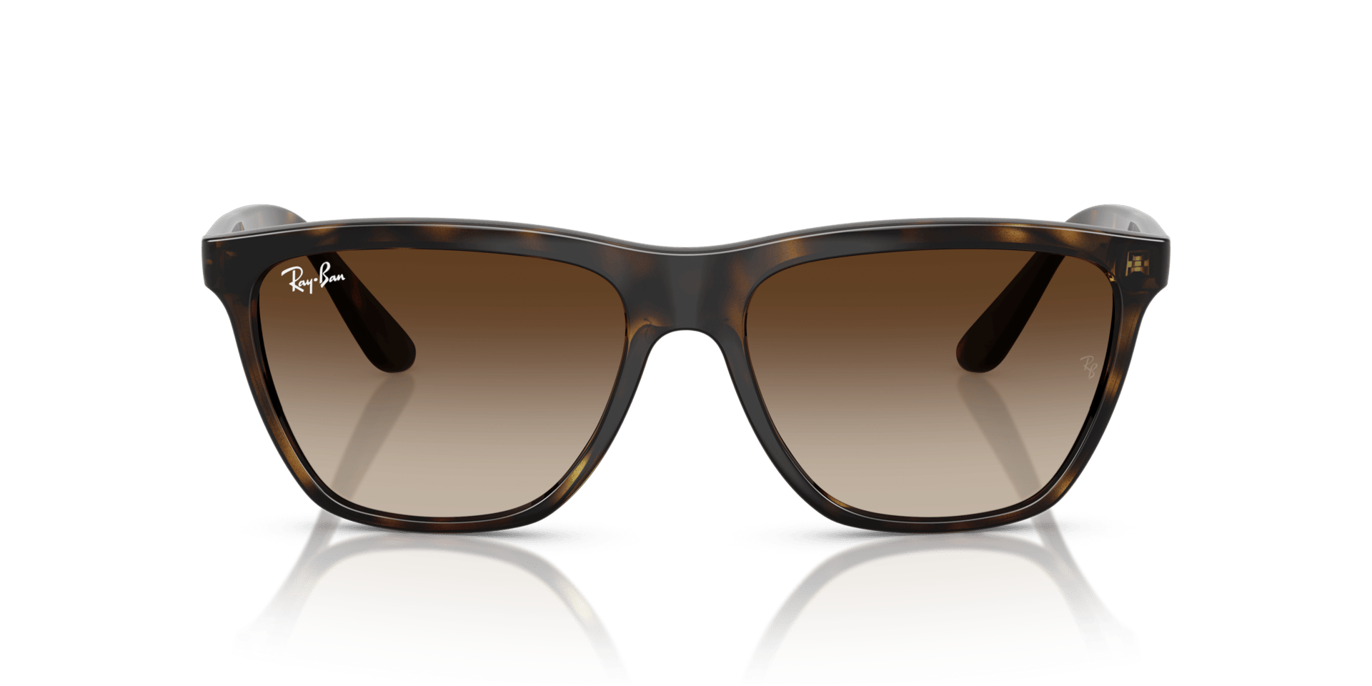 0RB4442I Injected Unisex Sunglasses
