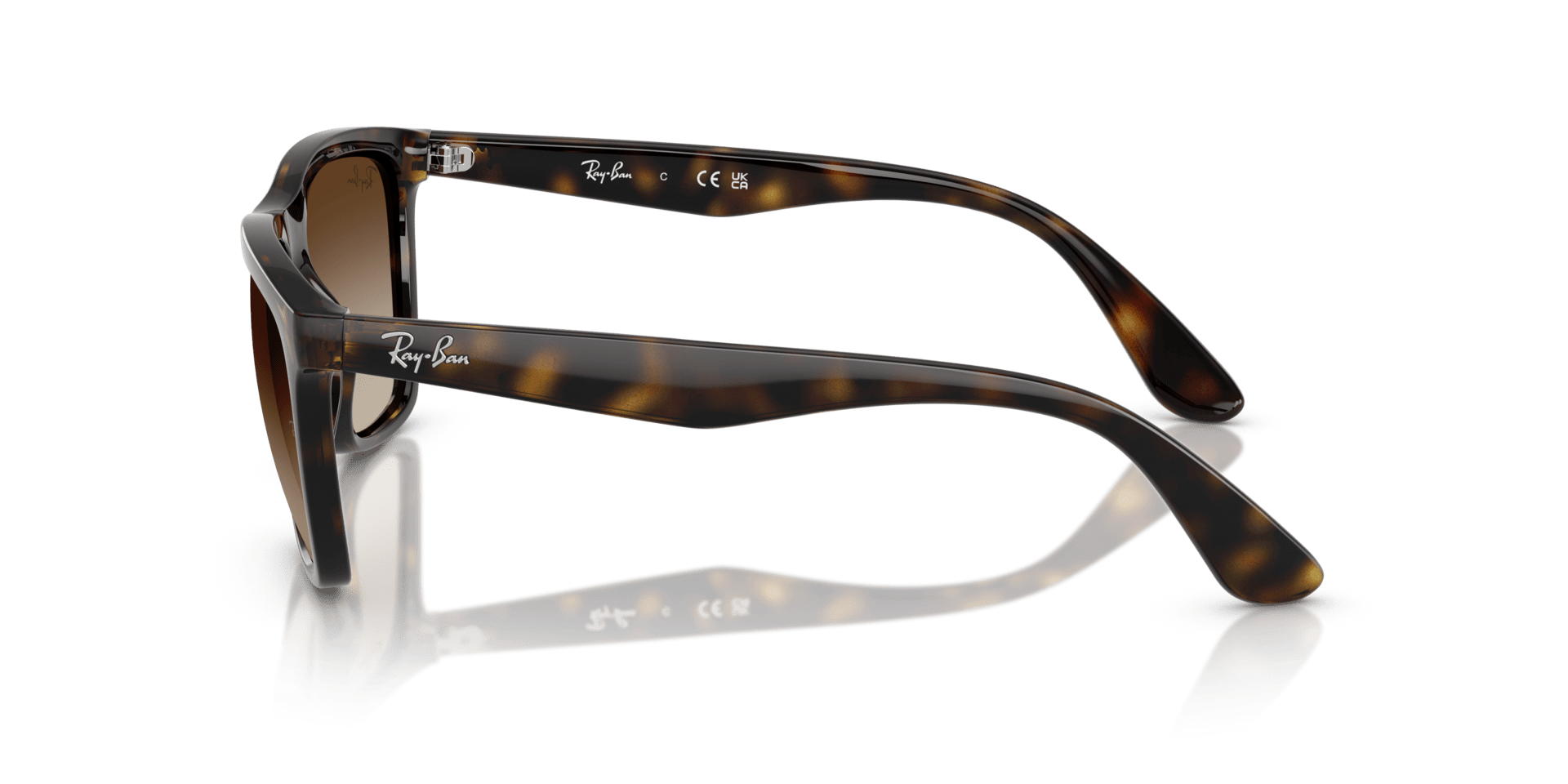 0RB4442I Injected Unisex Sunglasses