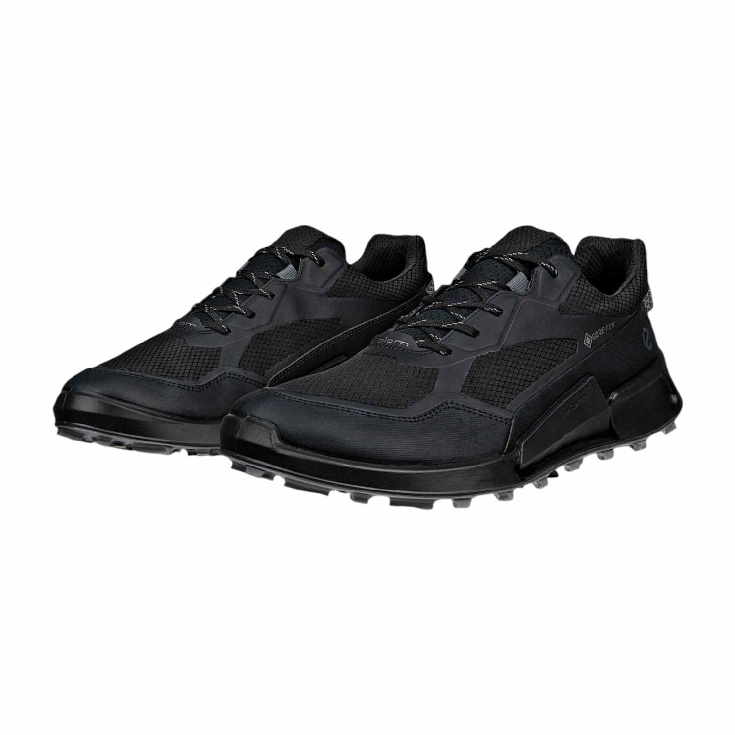 ECCO BIOM 2.1 X MTN M GTX