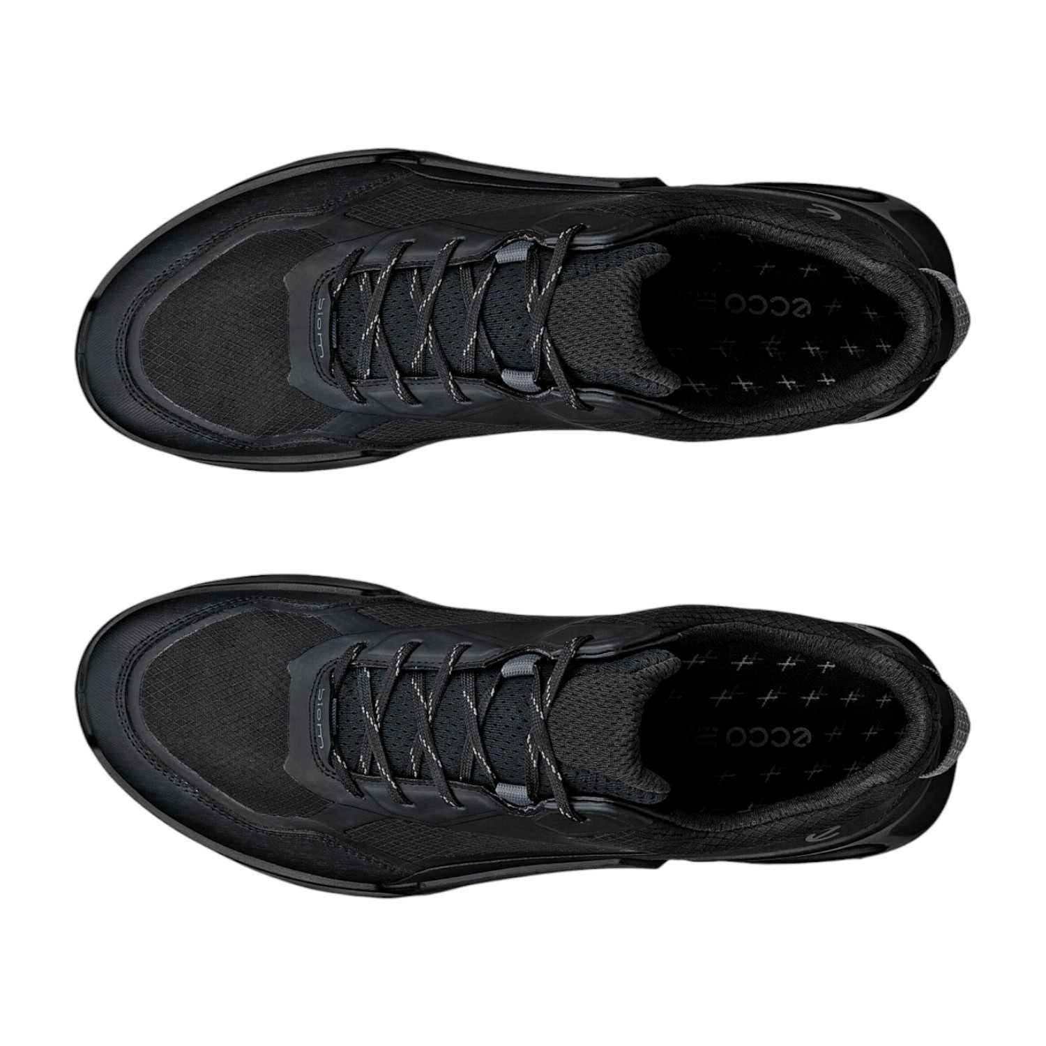 ECCO BIOM 2.1 X MTN M GTX