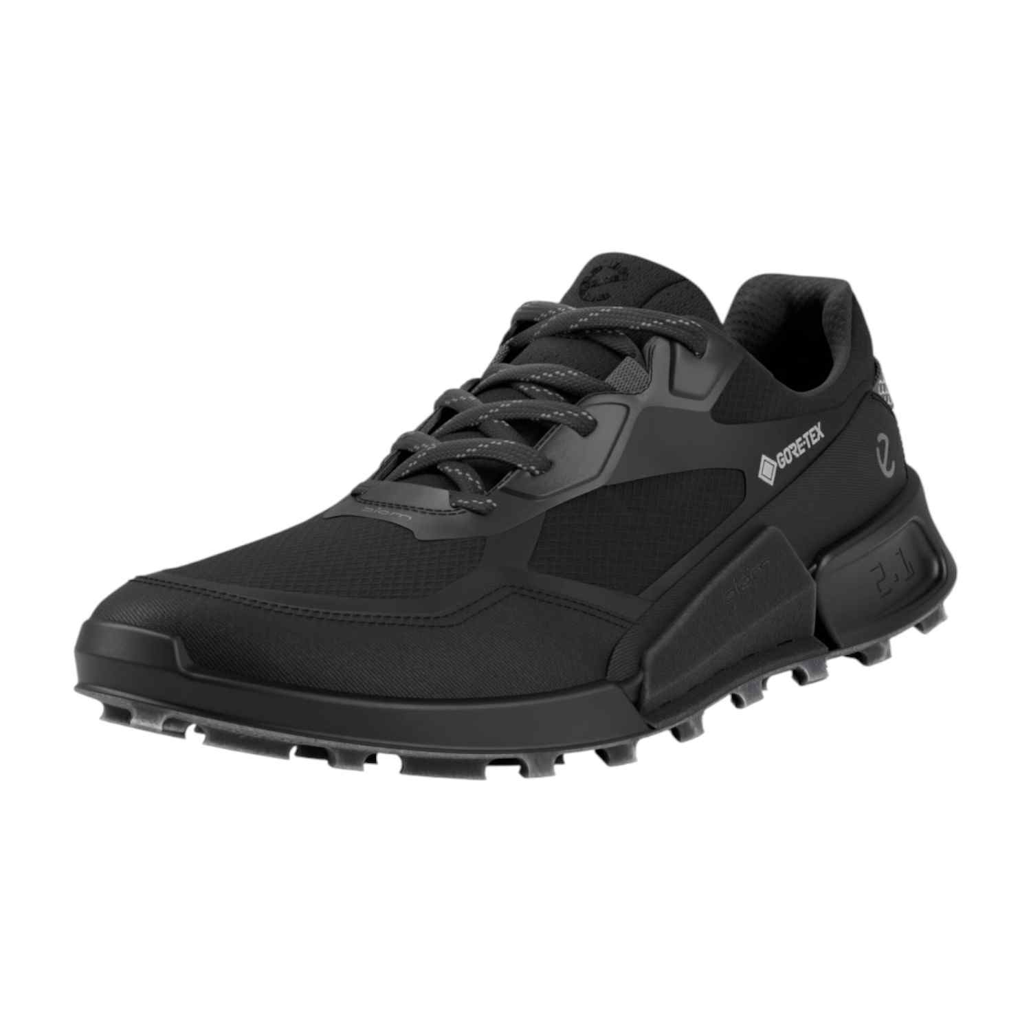 ECCO BIOM 2.1 X MTN M GTX