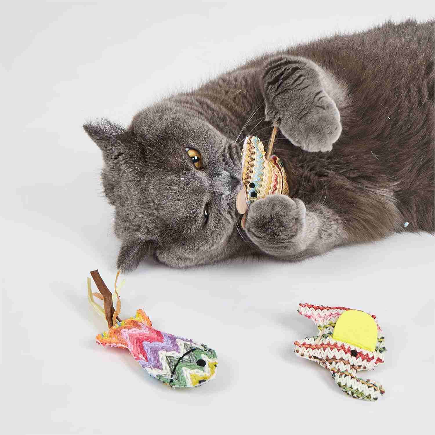 Barkbutler Fofos Interactive Catnip Chic Toy for Cats, Brown