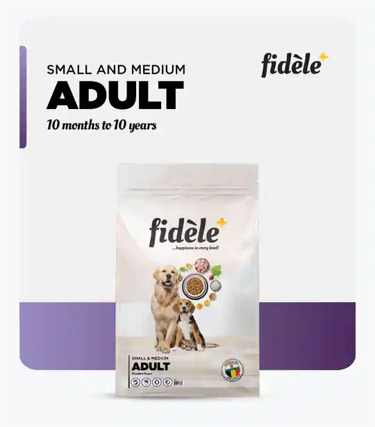 Fidele Plus Small & Medium Breed Adult Dry Dog Food