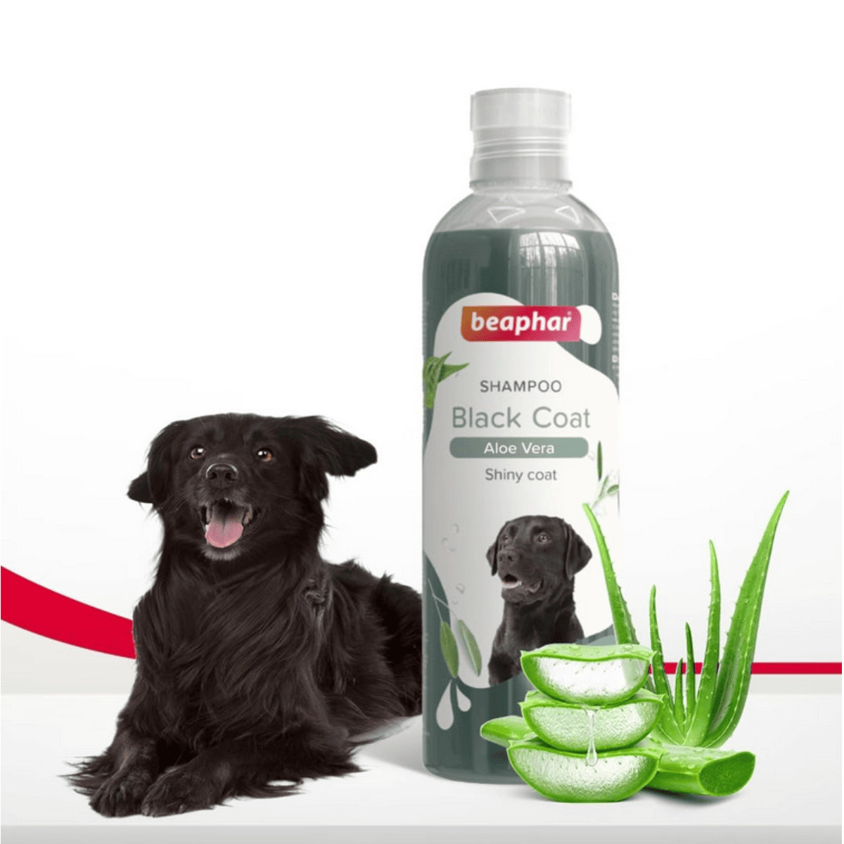 Beaphar Black Coat with Aloe Vera Dog Shampoo