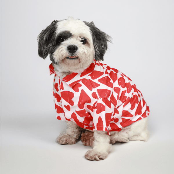 Ezra Polyester Blend Dog Shirt - Heart Abstract