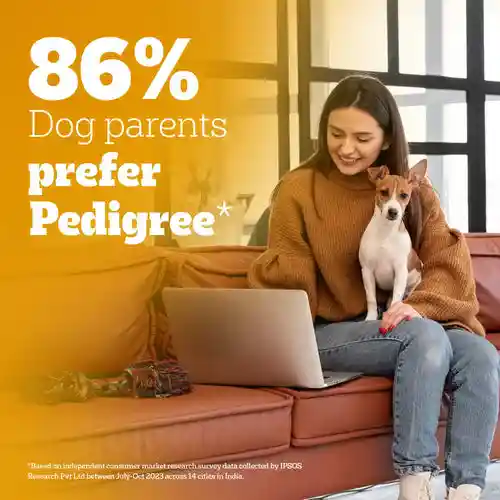 Pedigree Chicken & Liver Chunks In Gravy Puppy Wet Food, 130g