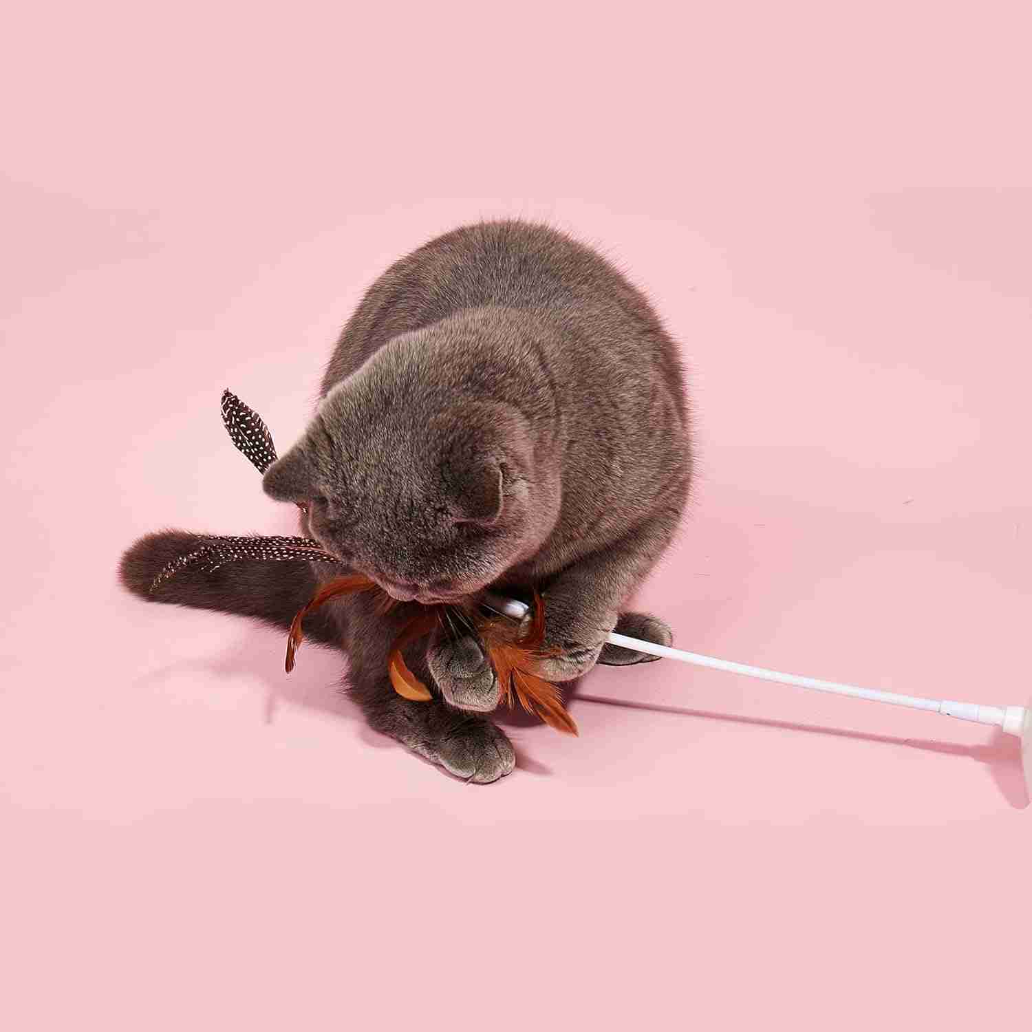 Barkbutler Fofos Suction Cup Interactive Cat Toy, 2 Replaceable