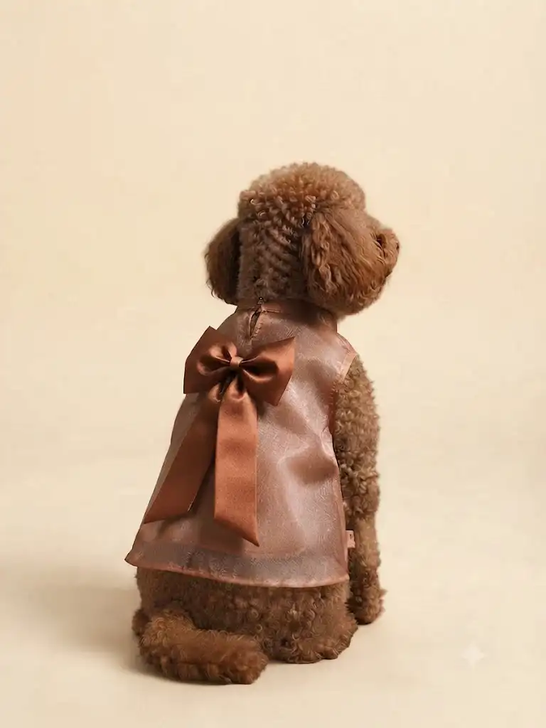 Pawsh Pet Glam Mocha Bow Dress for Dogs