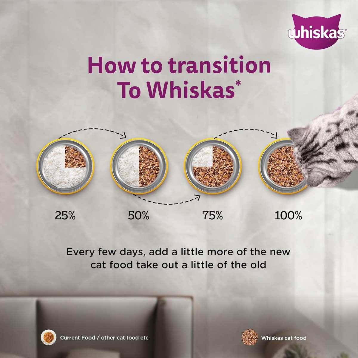 Whiskas Tune & White Fish in Jelly Wet Cat (1+ year) Food, 80g