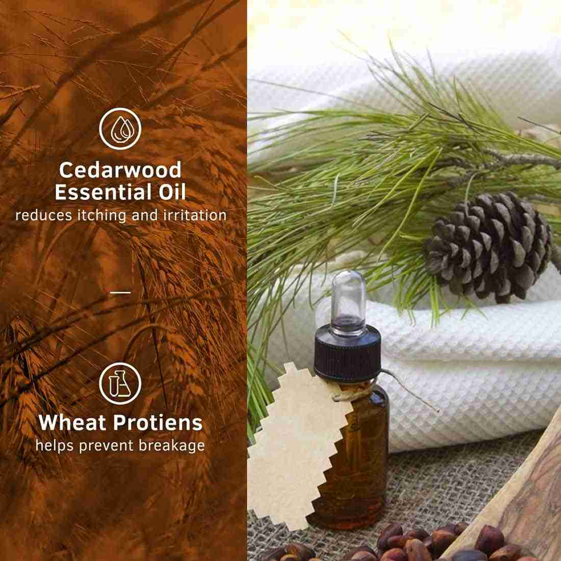 Ustraa Beard growth Oil - 35ml And Beard Wash Woody - 60ml