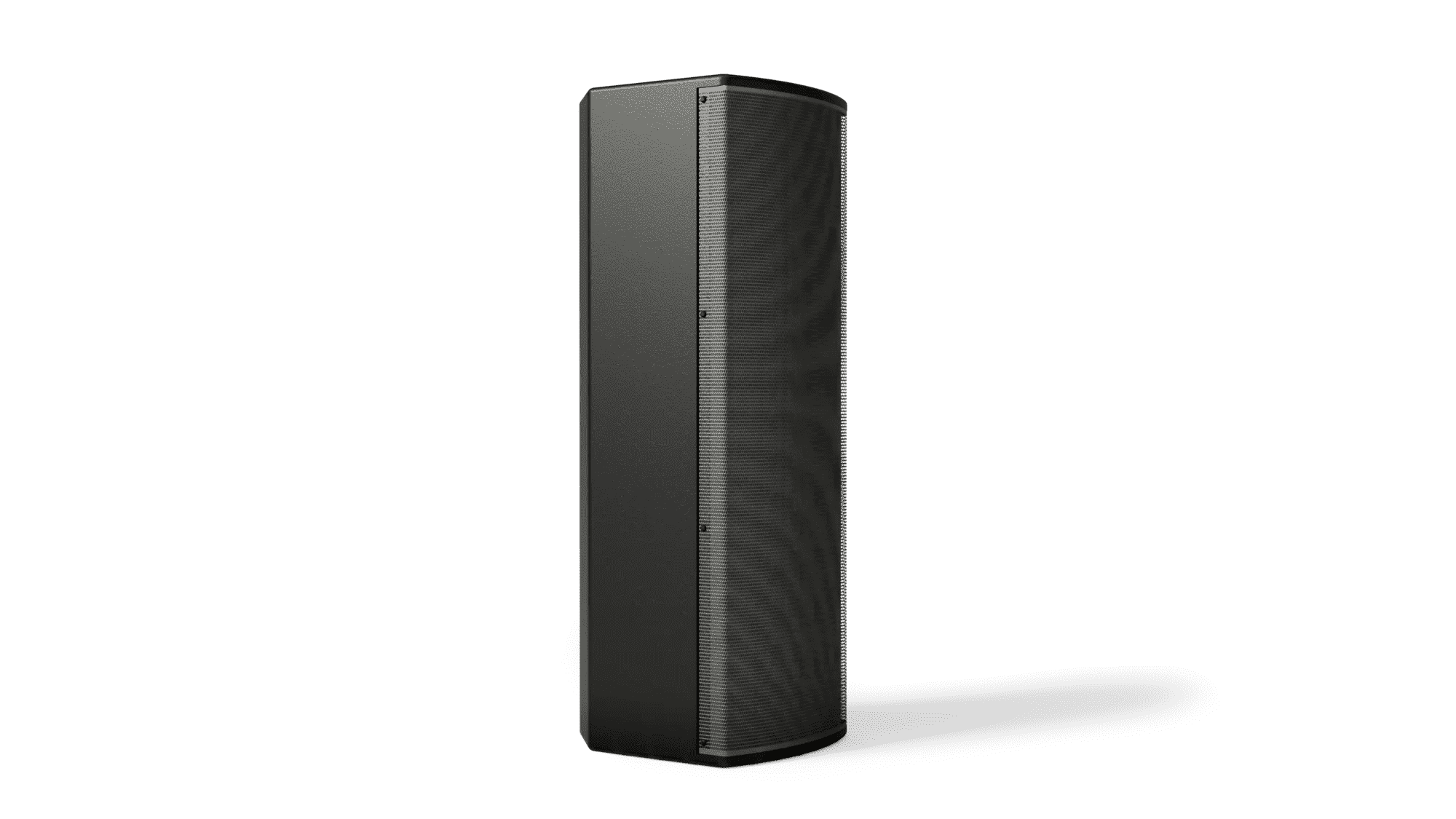 Bose ArenaMatch Utility AMU208 -Black 2