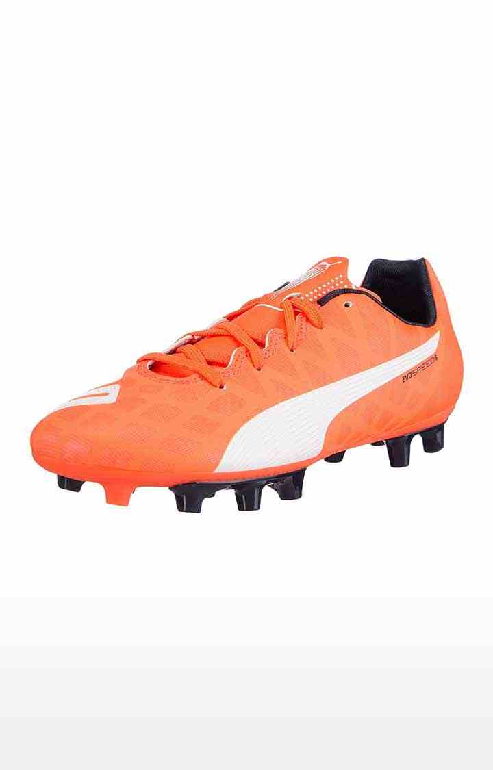 Puma 2025 evo sport