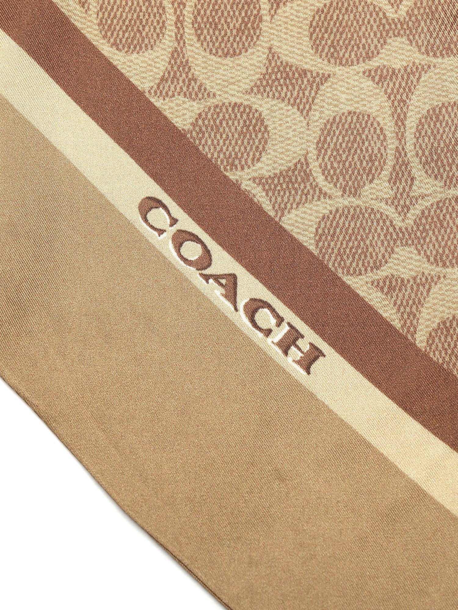 Stacked Tabby Bags Print Silk Skinny Scarf