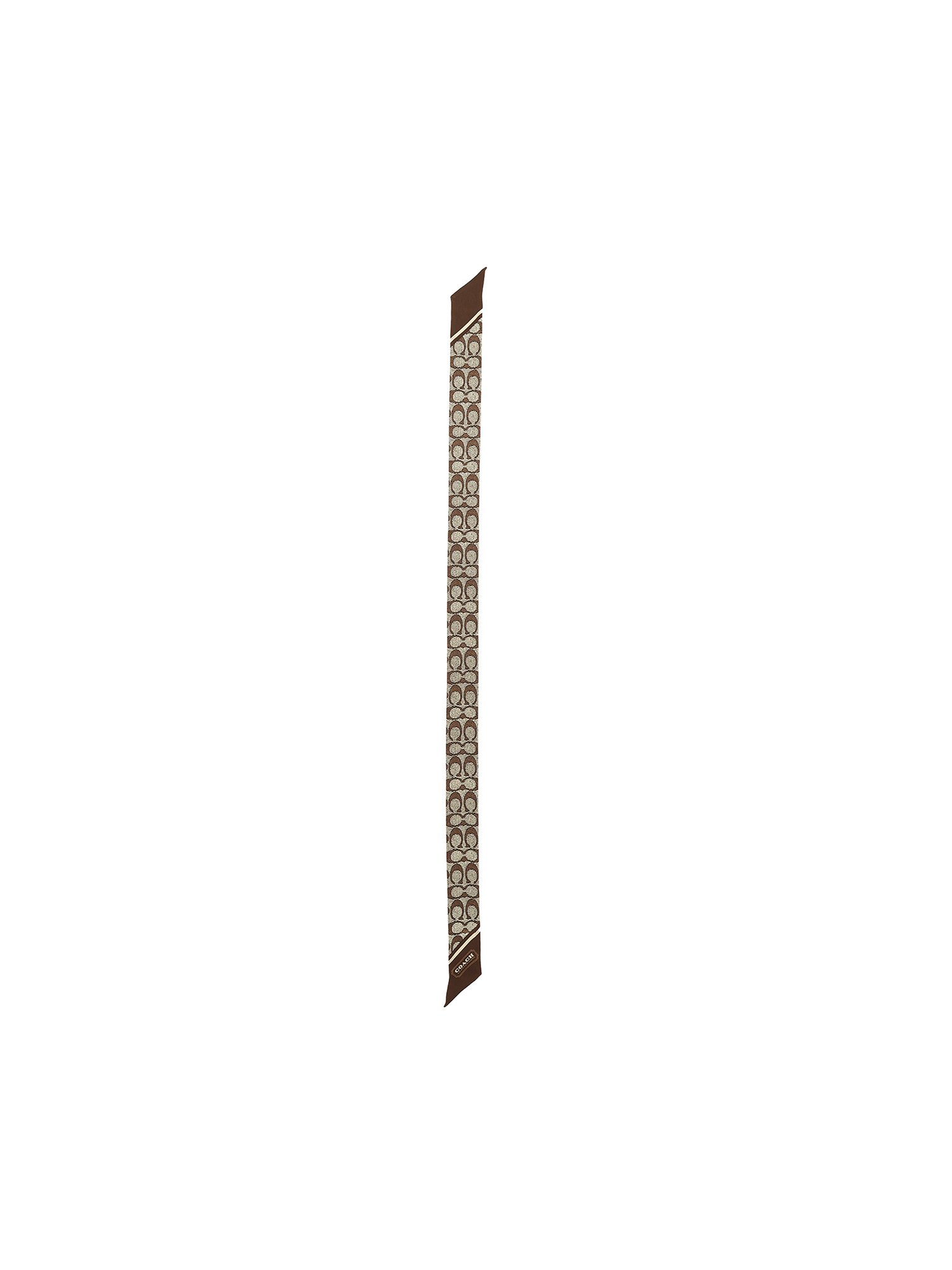 Textured Signature Print Silk Skinny Scarf