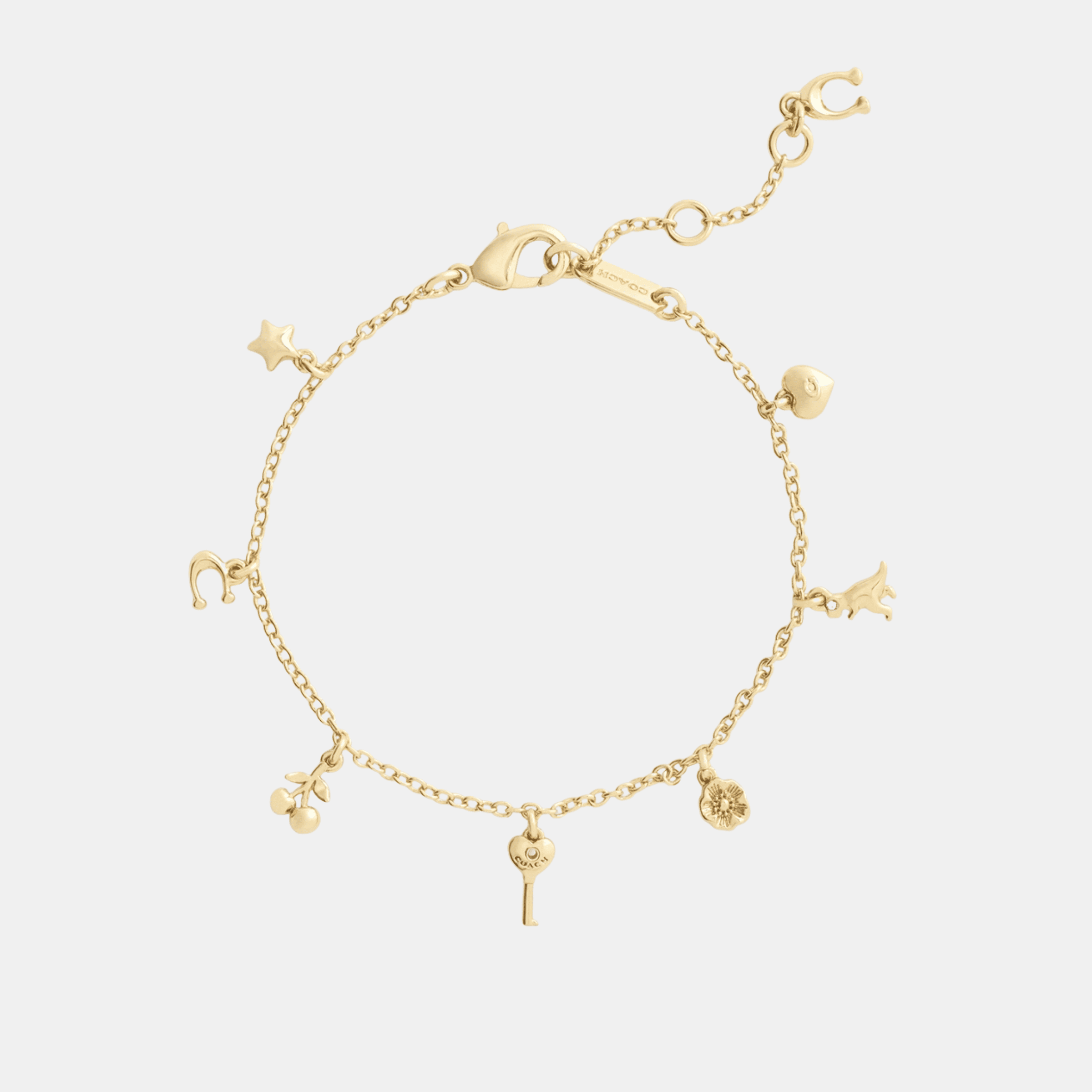 Charming Charms Signature Bracelet