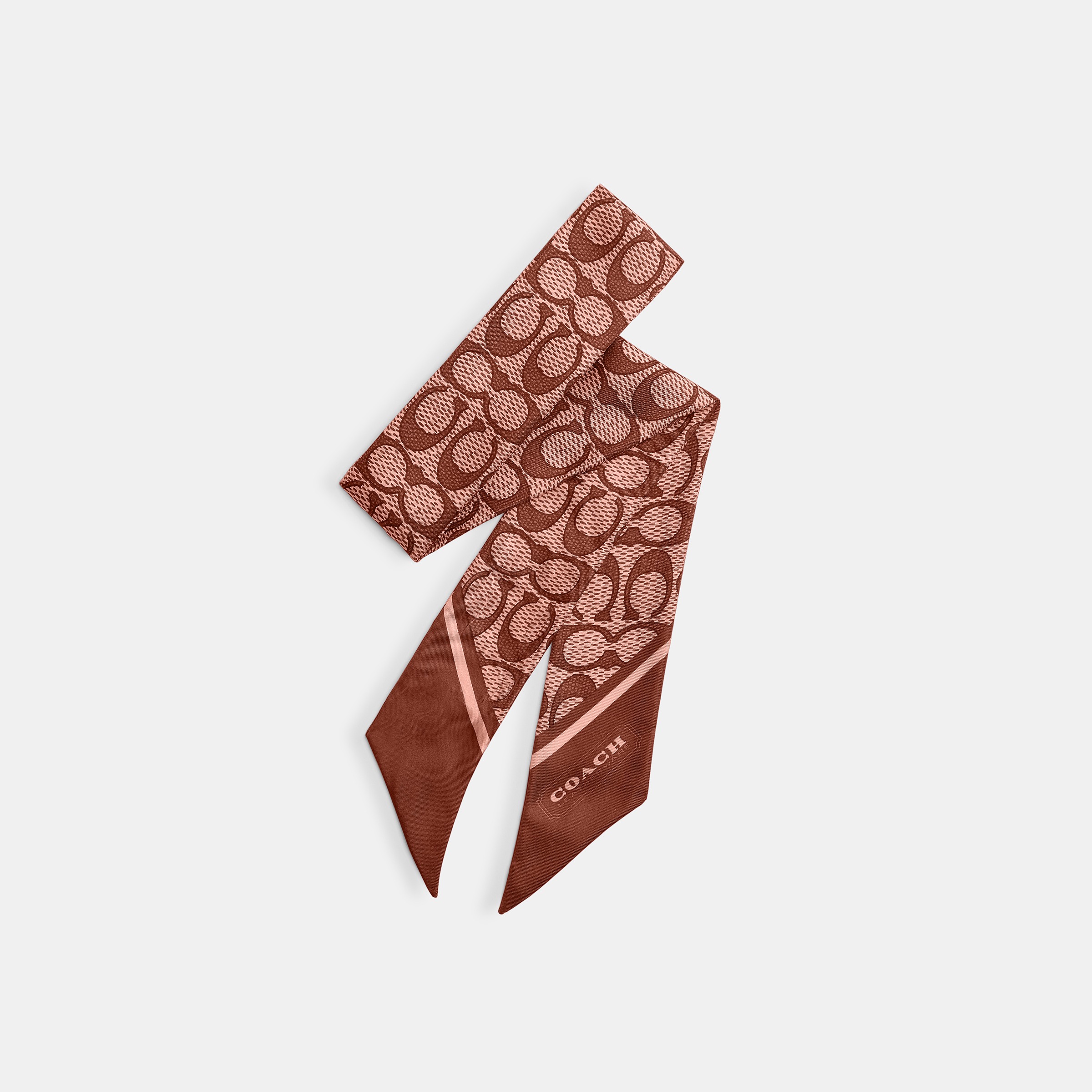 Textured Signature Print Silk Skinny Scarf
