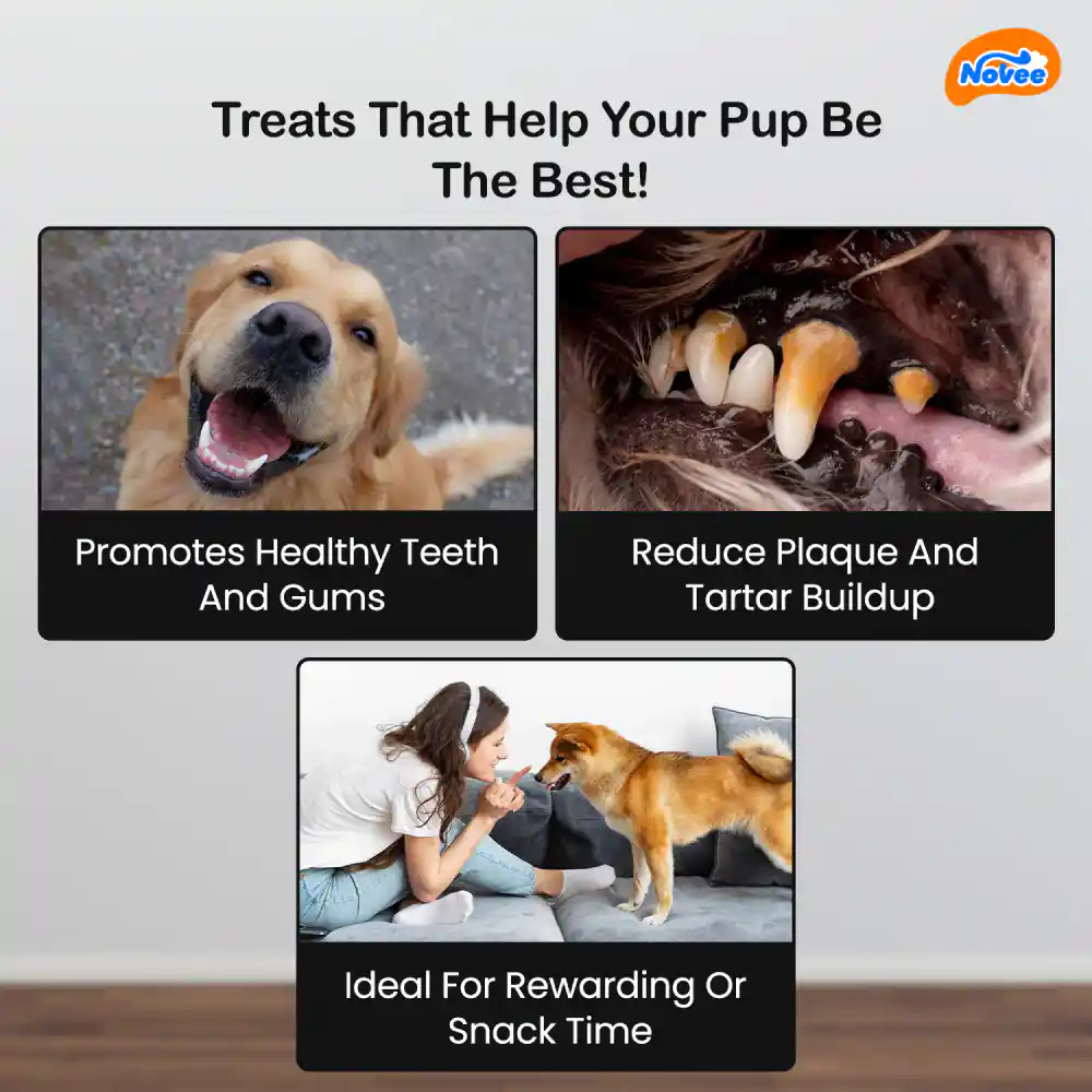 Novee Milky Chew Goat Milk Mini Bone Treats for Dogs