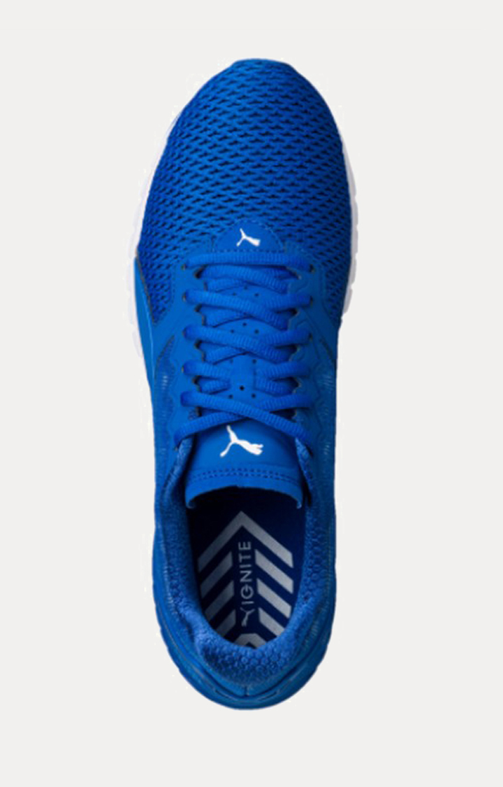 Ignite dual mesh store