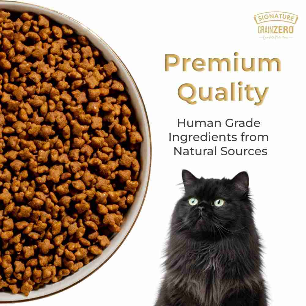 Grain Zero Ocean Fish, Sardine and Mackerel Long Coat & Persian Adult Cat Dry Food
