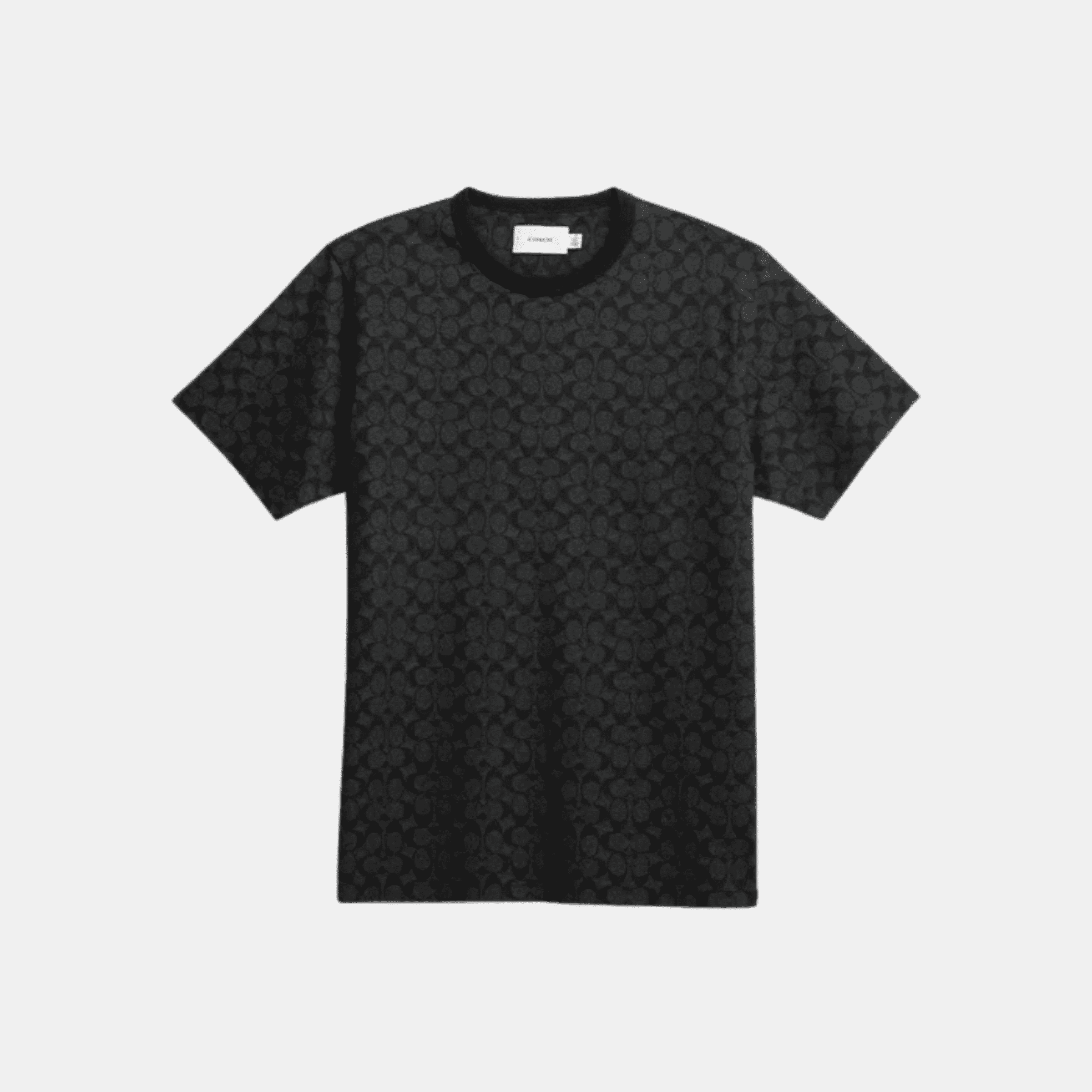 Signature T-Shirt In Organic Cotton
