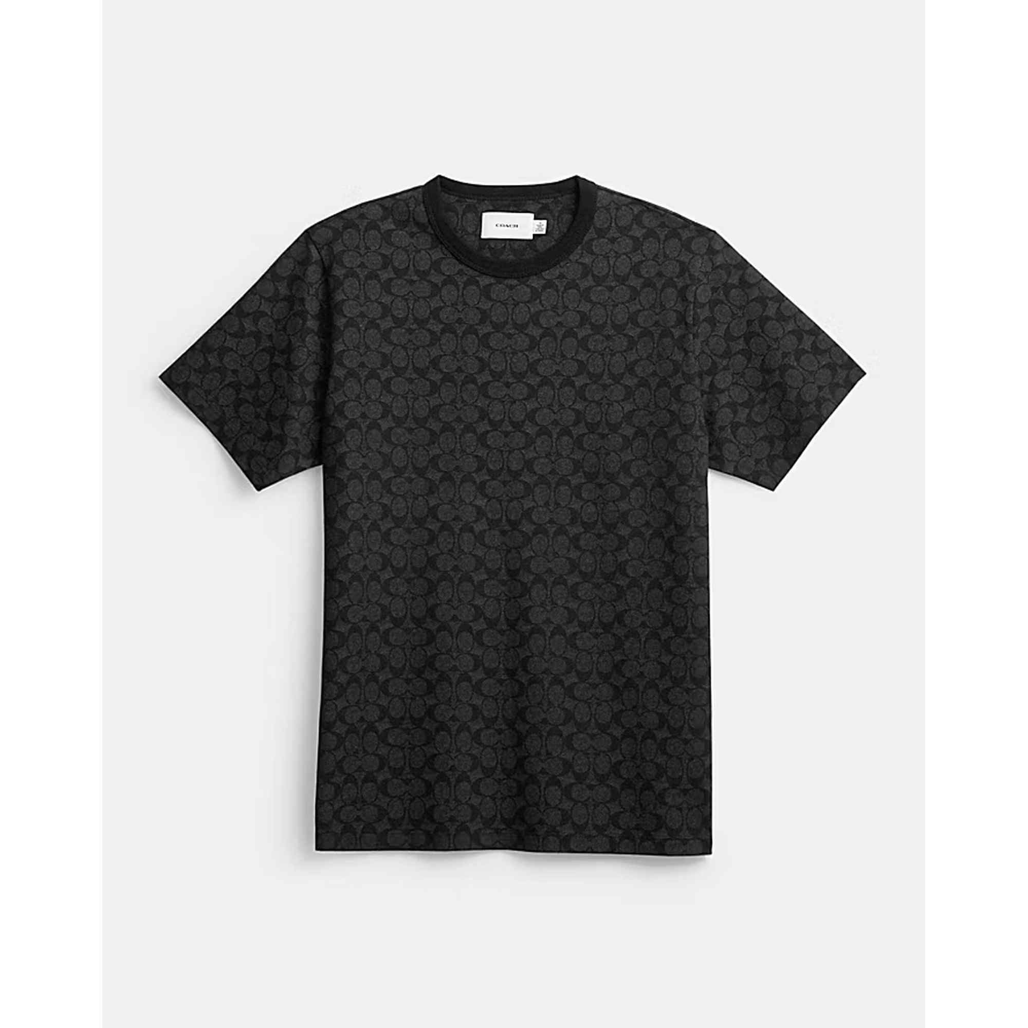 Signature T-Shirt In Organic Cotton