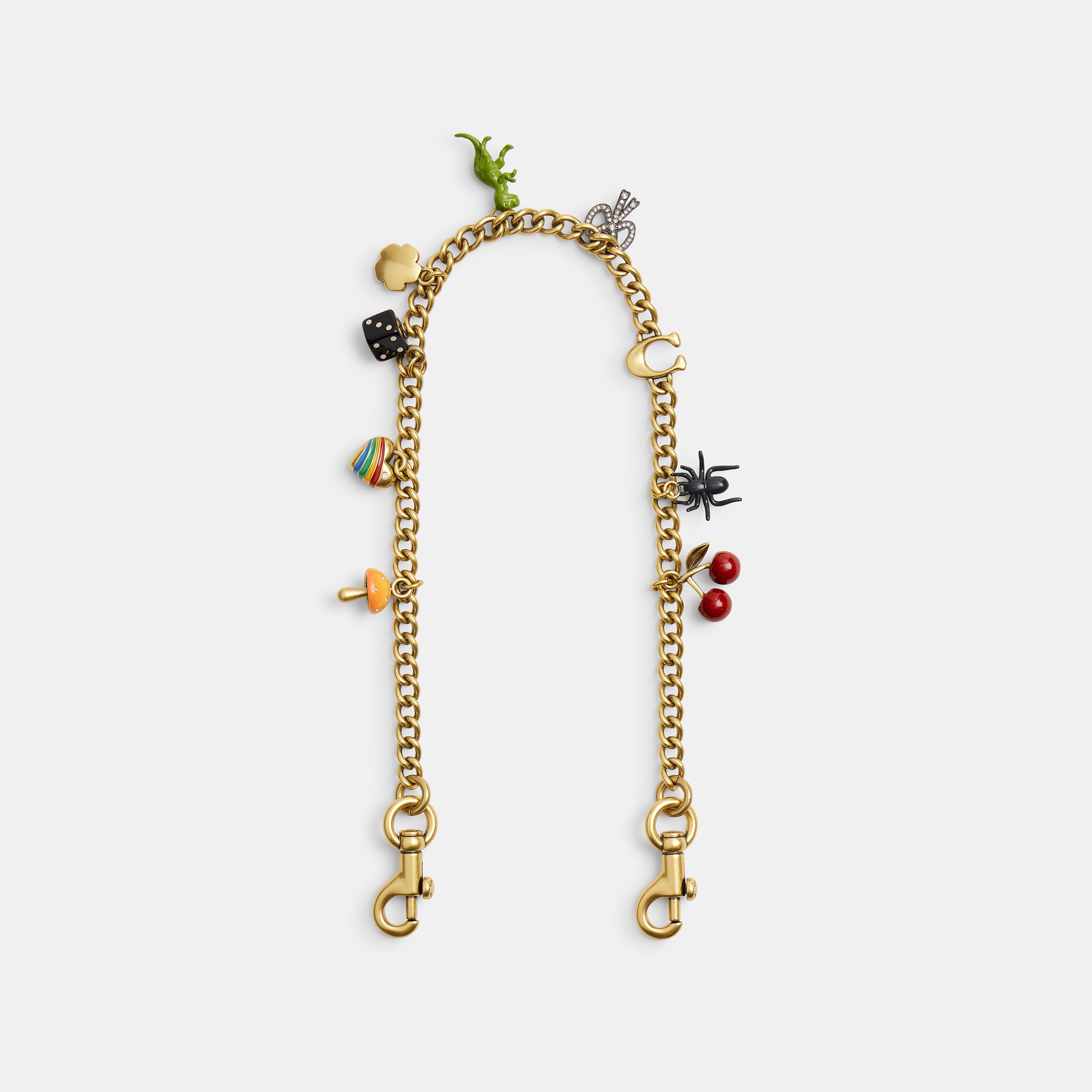 Charm Chain Strap