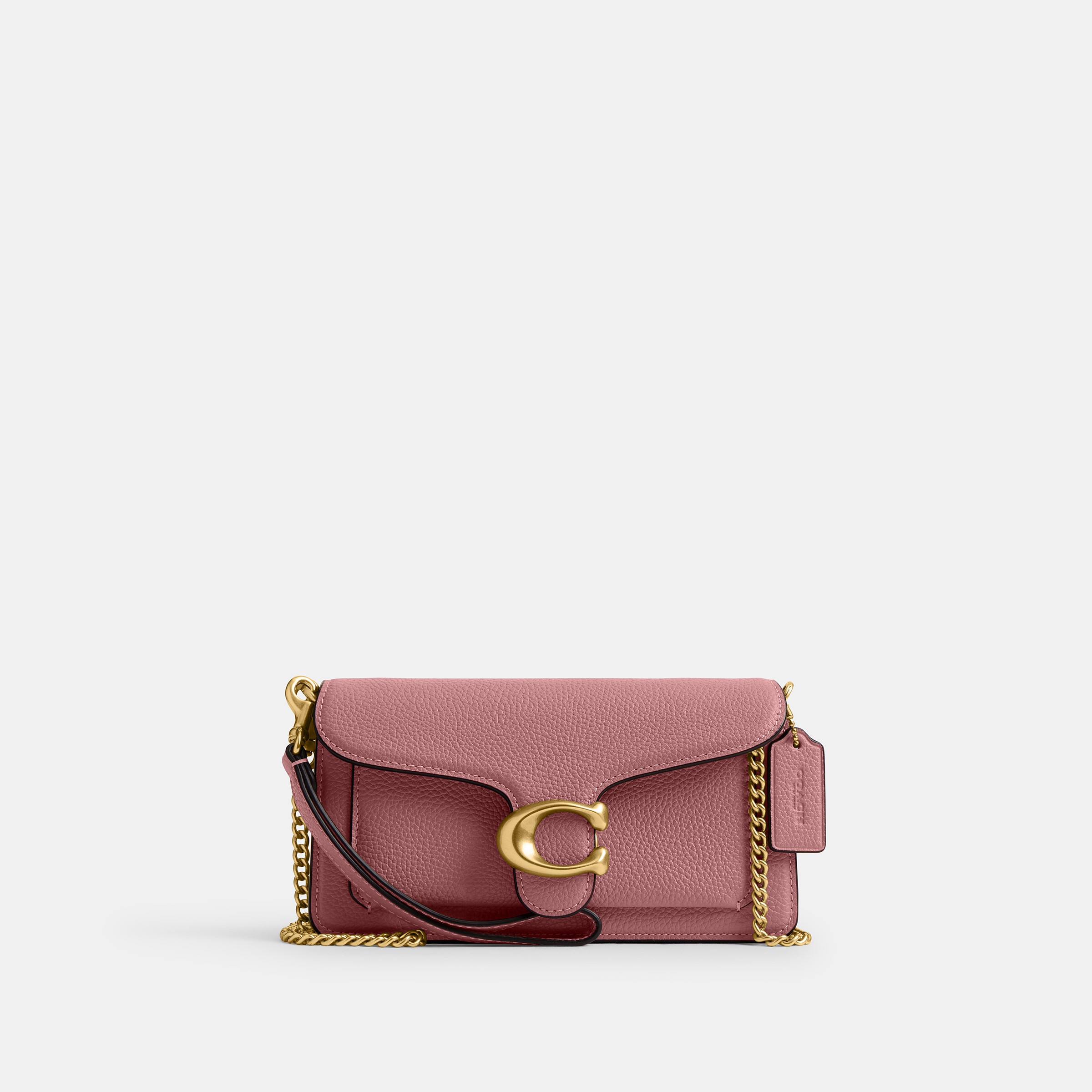 Tabby Chain Crossbody Bag 19