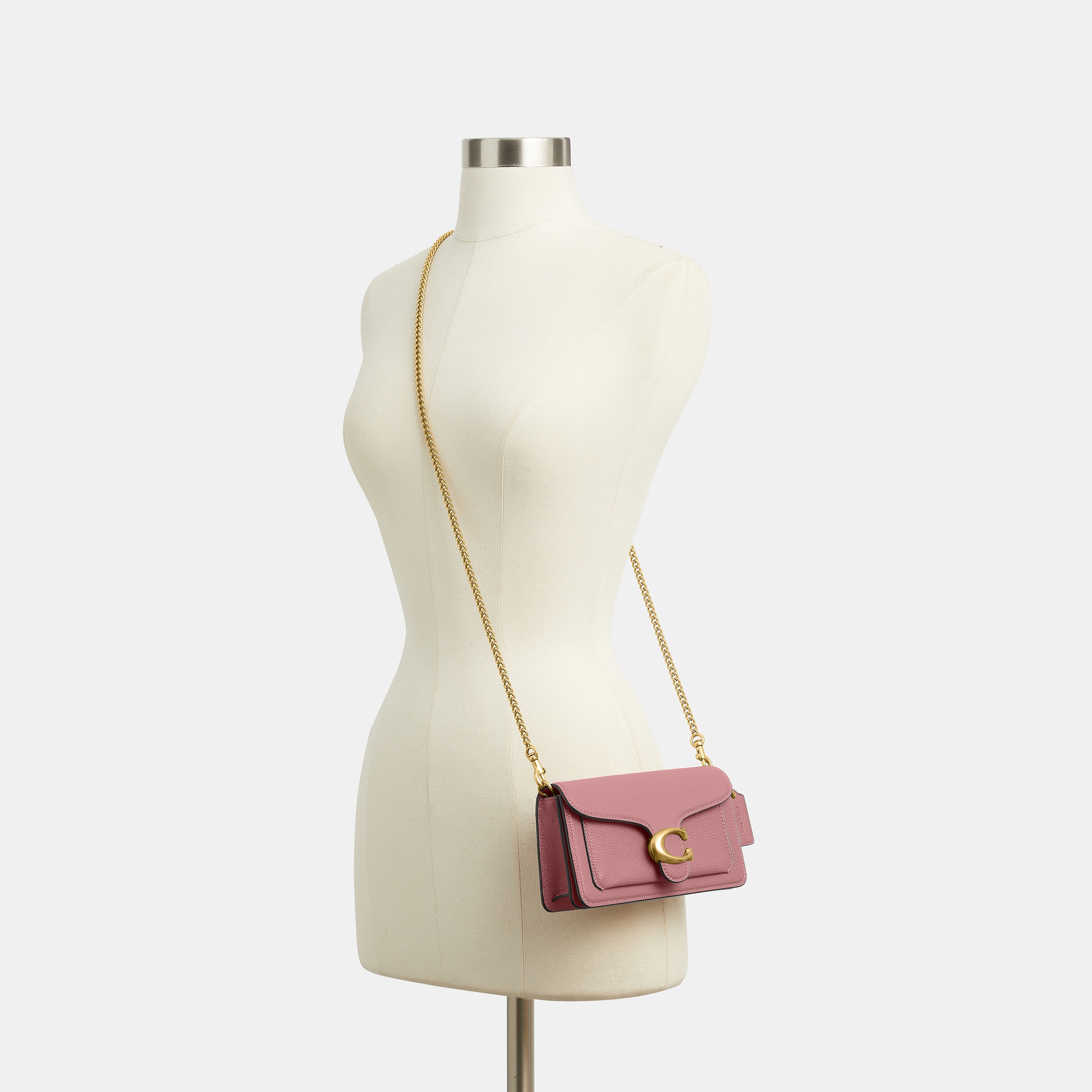 Tabby Chain Crossbody Bag 19