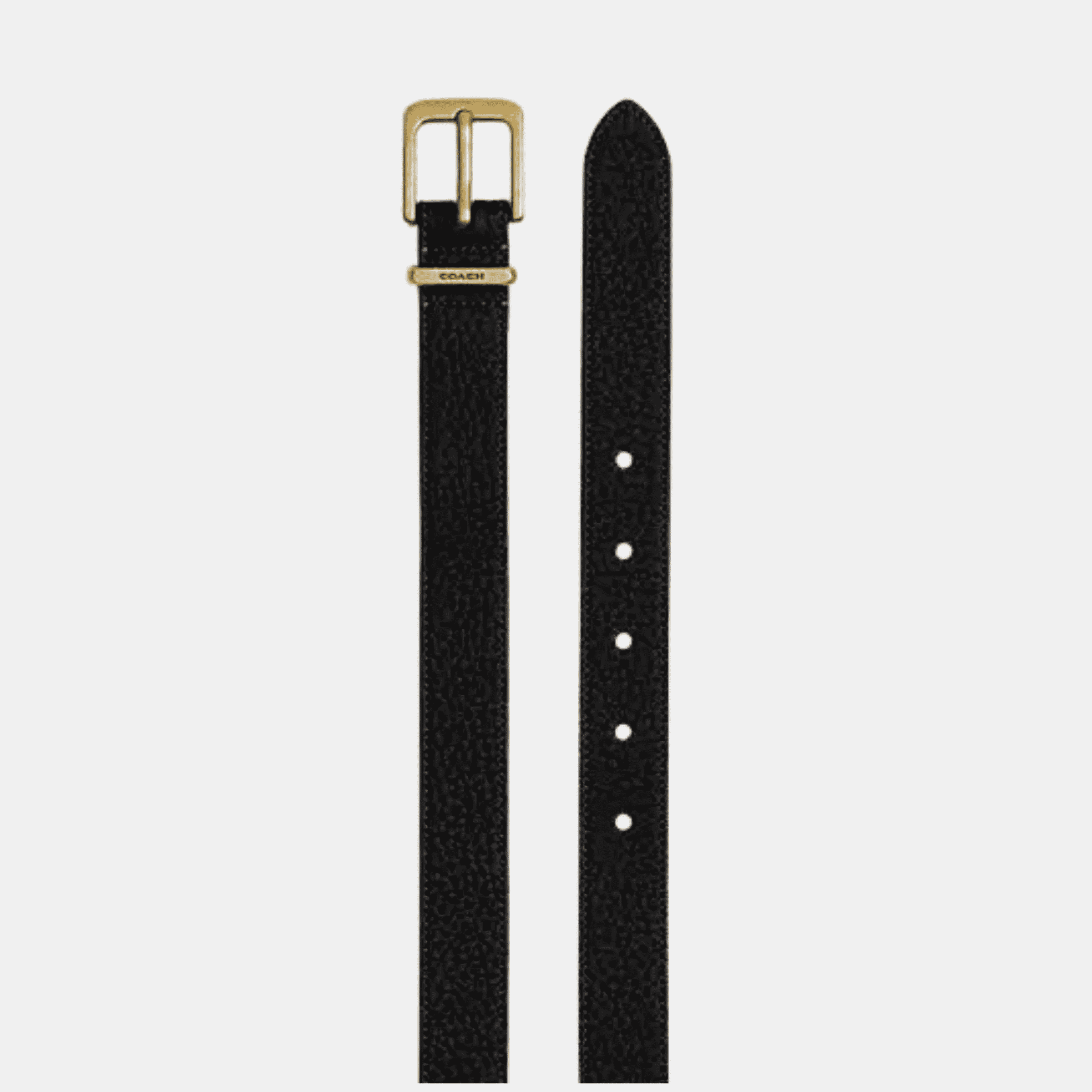 Harness Hasp Buckle Belt, 25 Mm