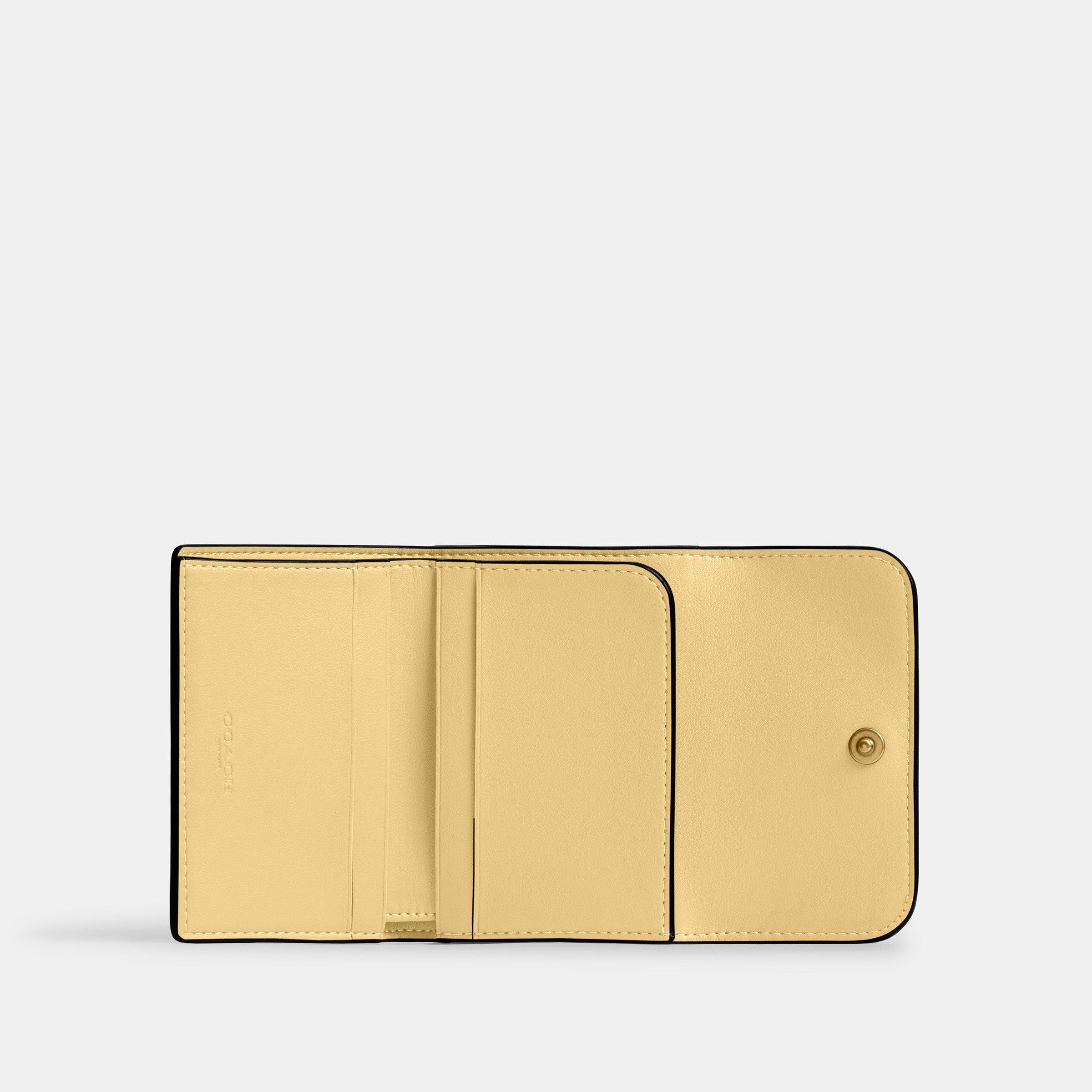 Essential Card Holder Wallet