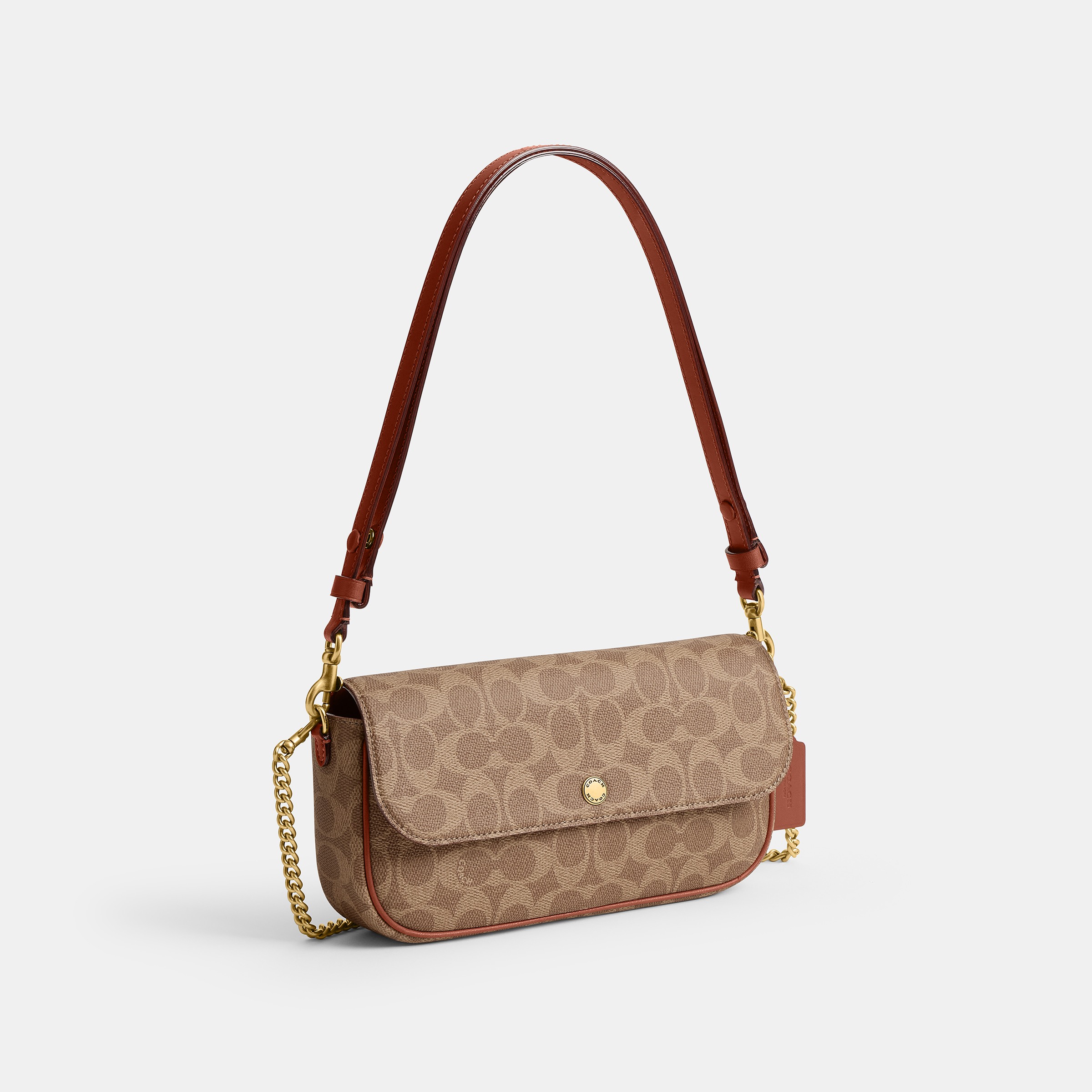 Brook Flap Chain Bag In Signature