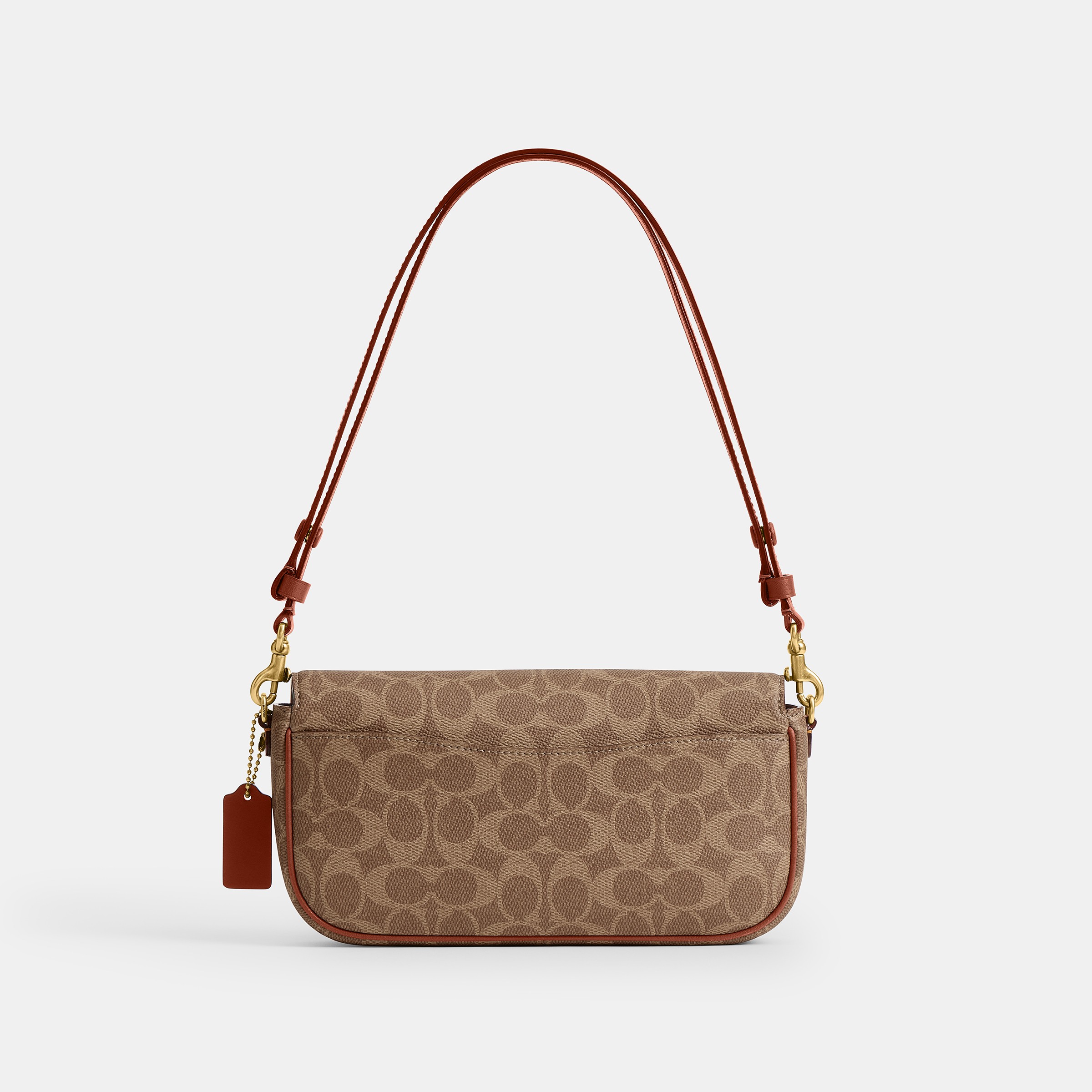 Brook Flap Chain Bag In Signature
