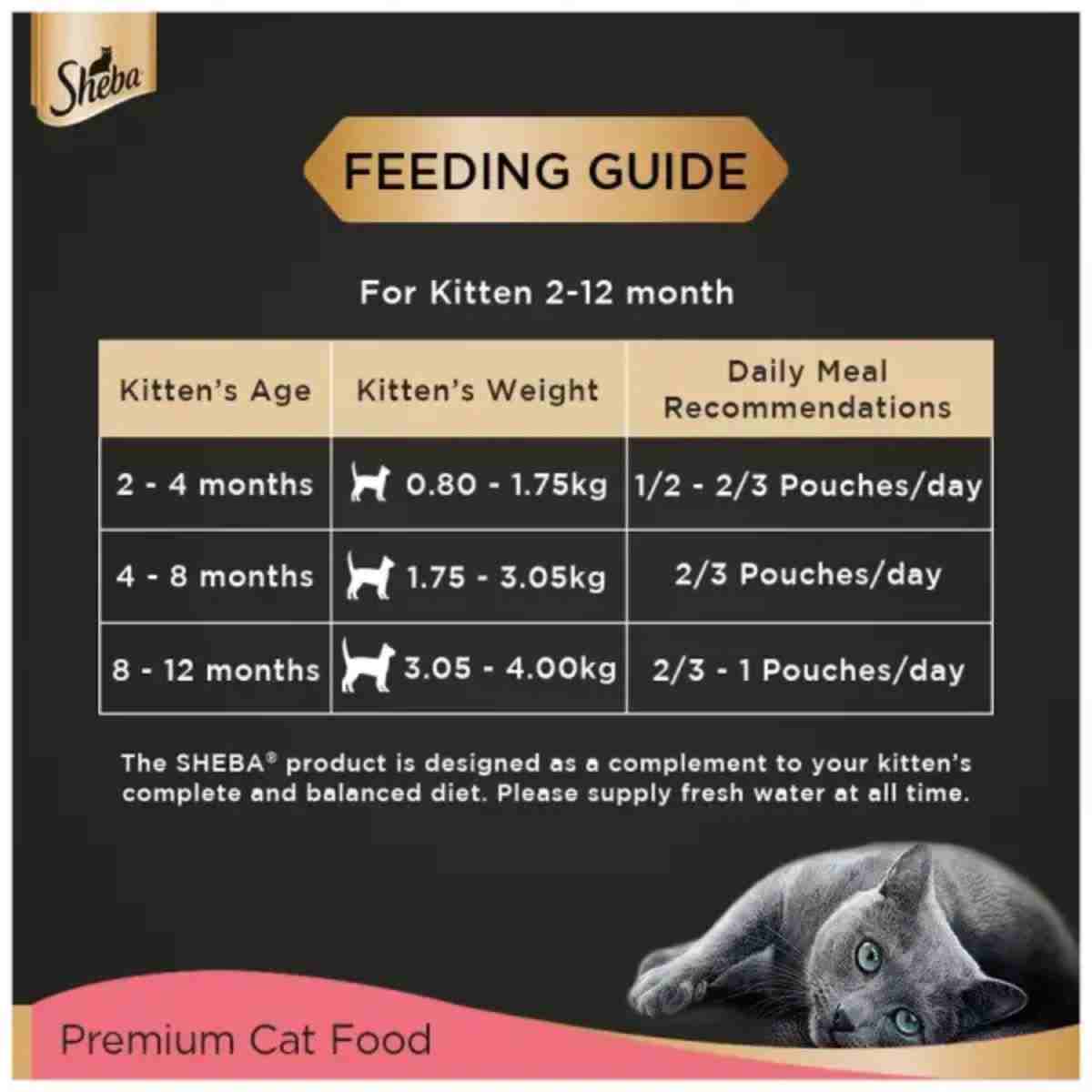 Sheba Rich Premium Chicken Loaf Wet Kitten Food - 70 gm
