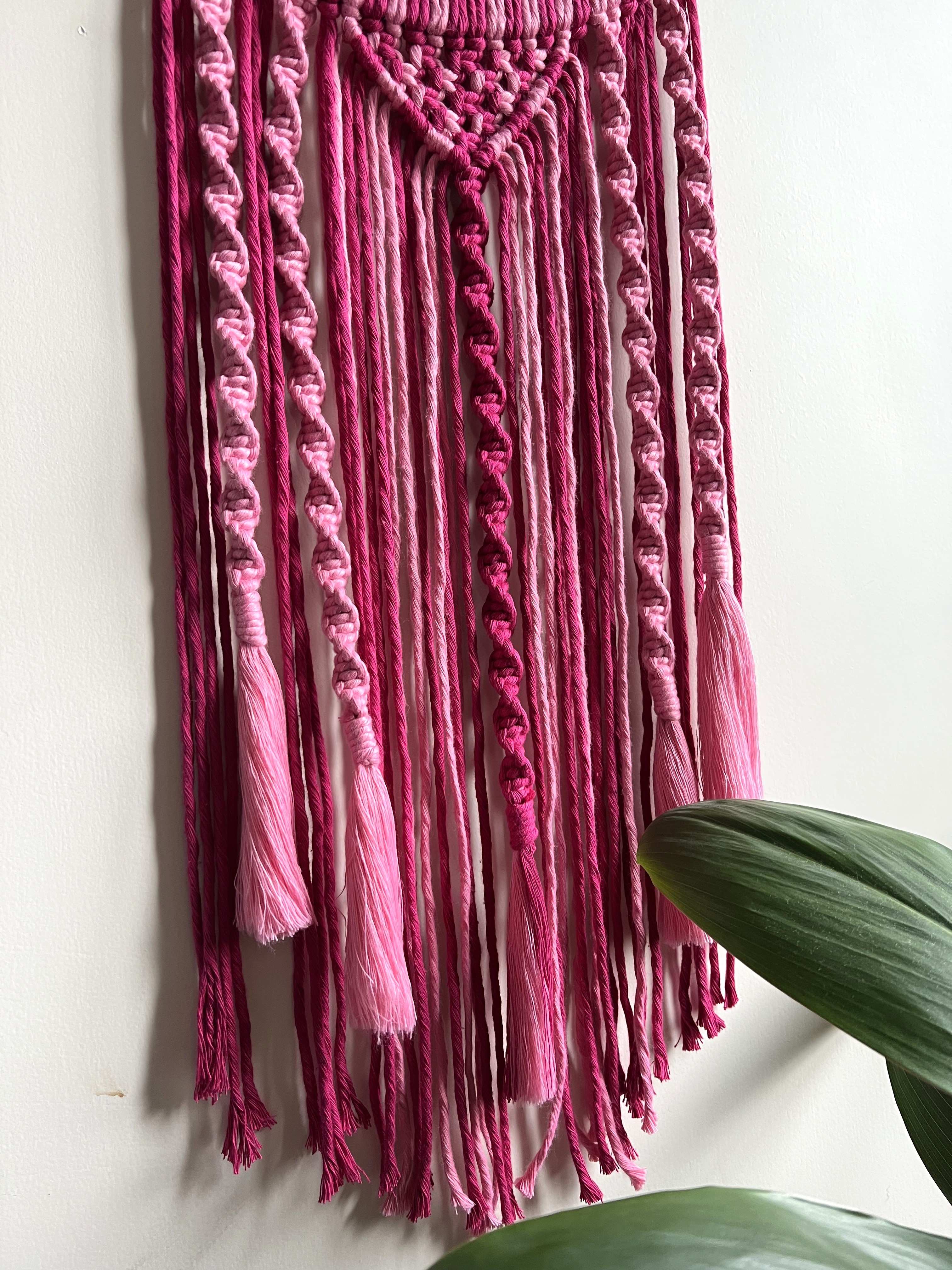 Braided Dual Colored Dreamcatcher