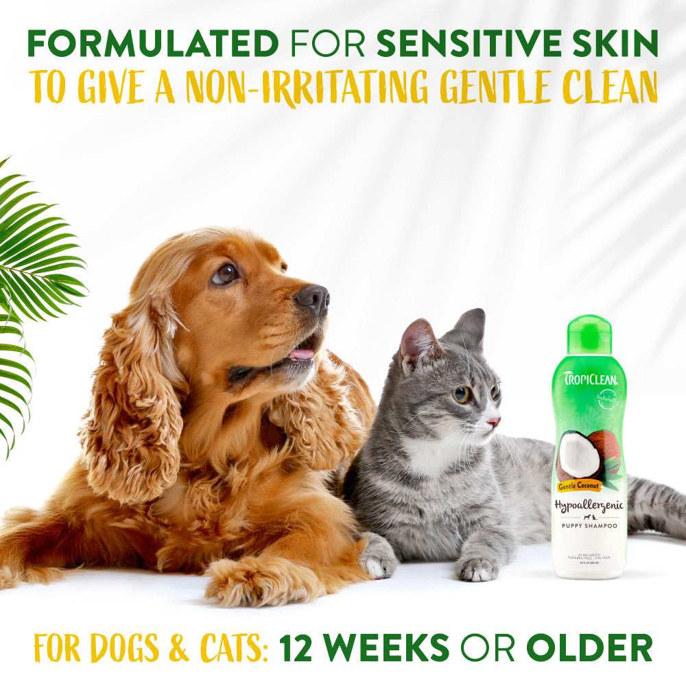 TropiClean Gentle Coconut Puppy & Kitten Shampoo