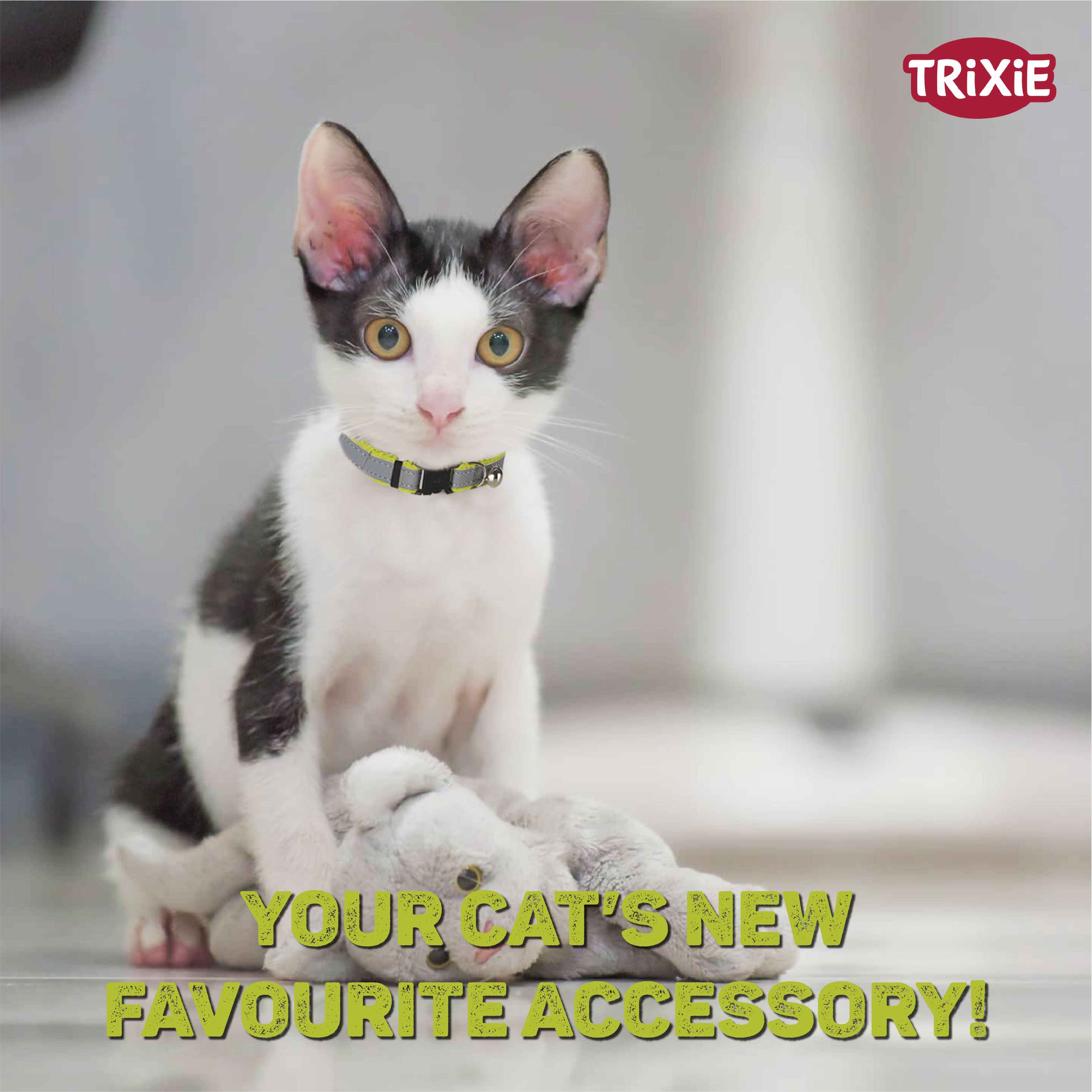 Trixie Safer Life Collar with Bell for Cats, Reflective, Pack of 1