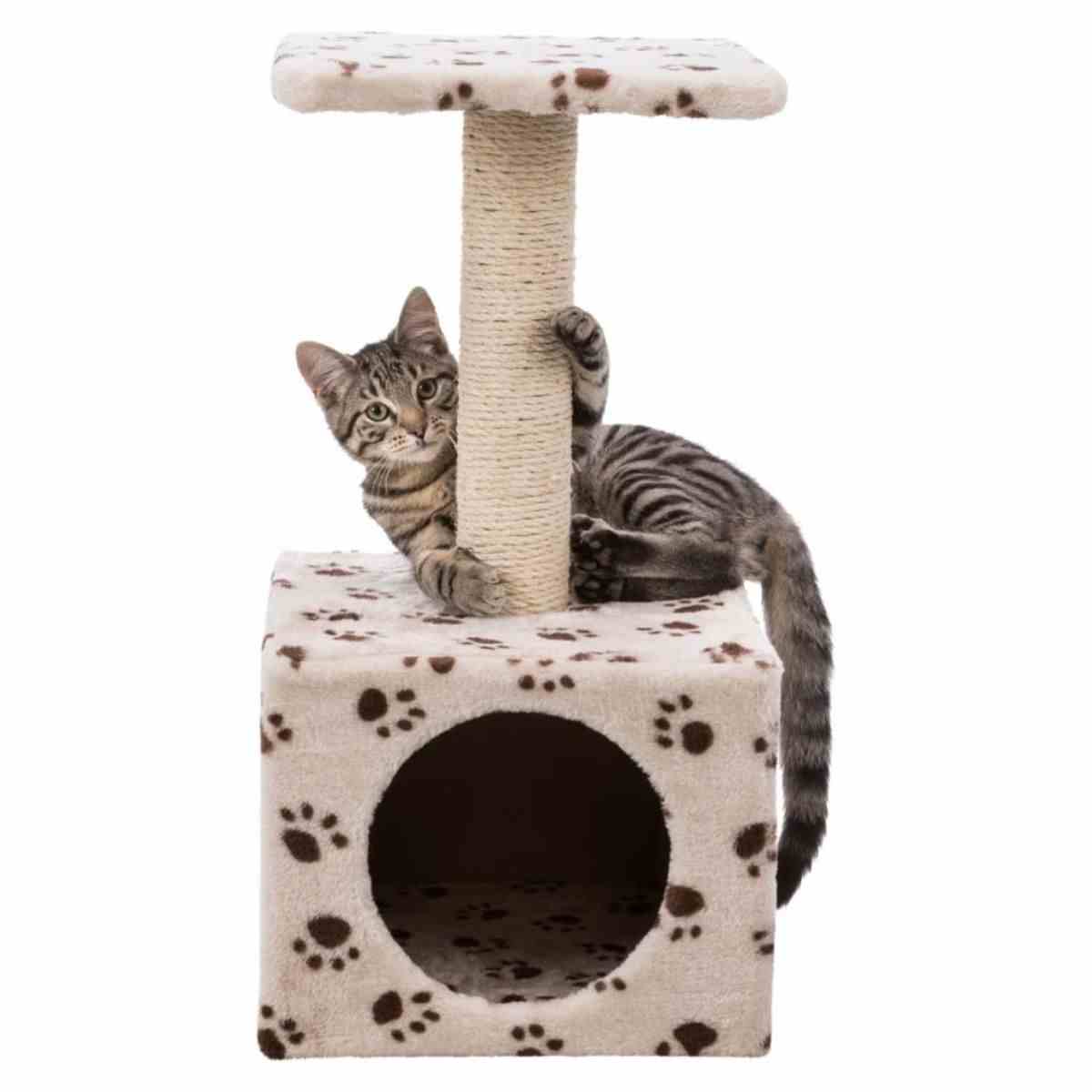Trixie Junior Zamora Scratching Post with Paw Print Toy for Cats (60 cm, Beige)